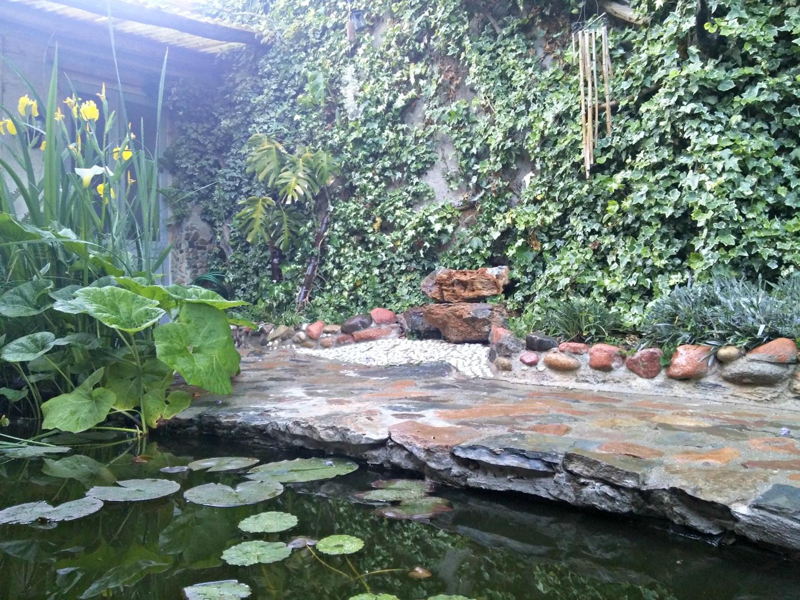 Photo 37