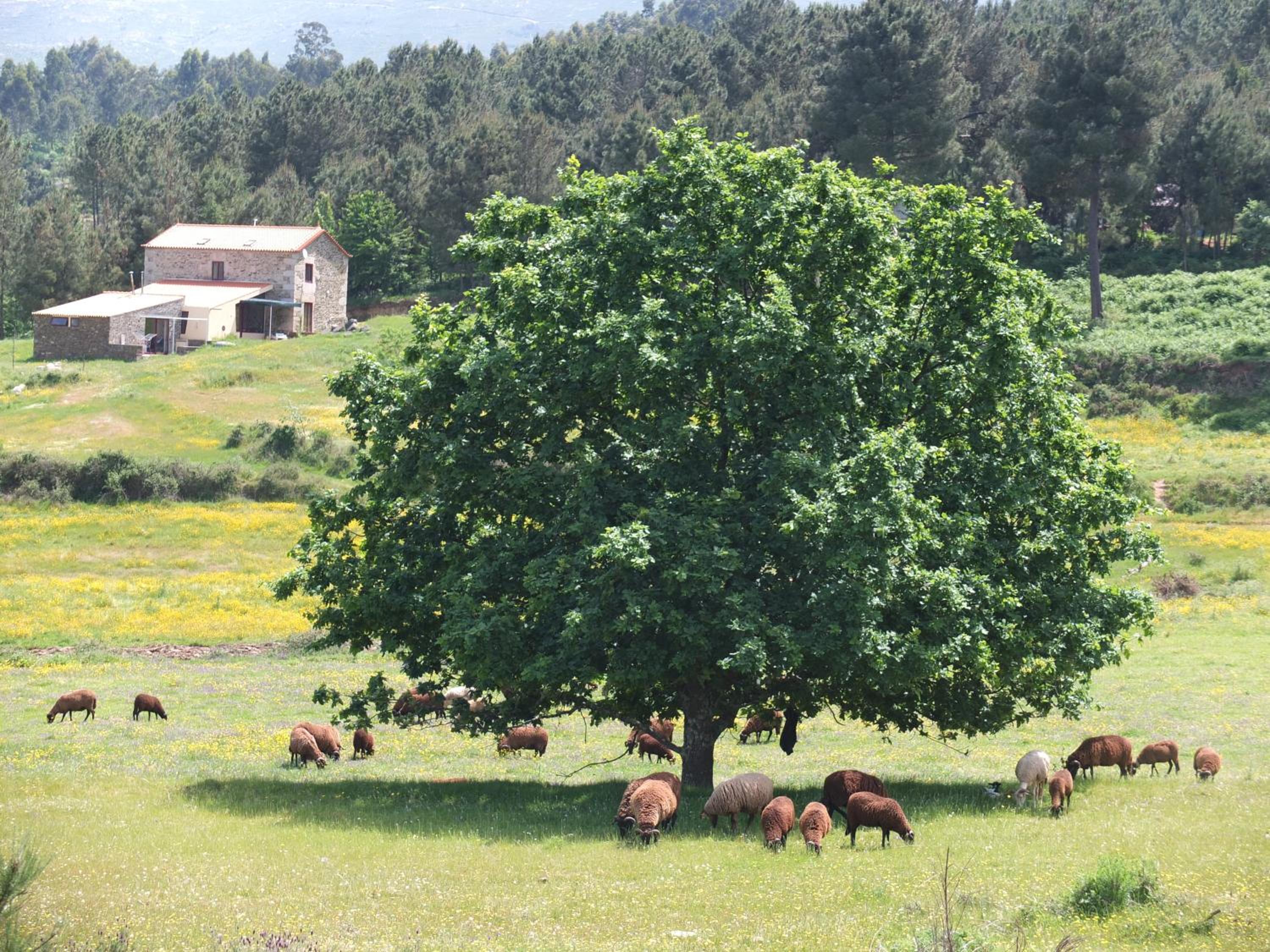Photo 40