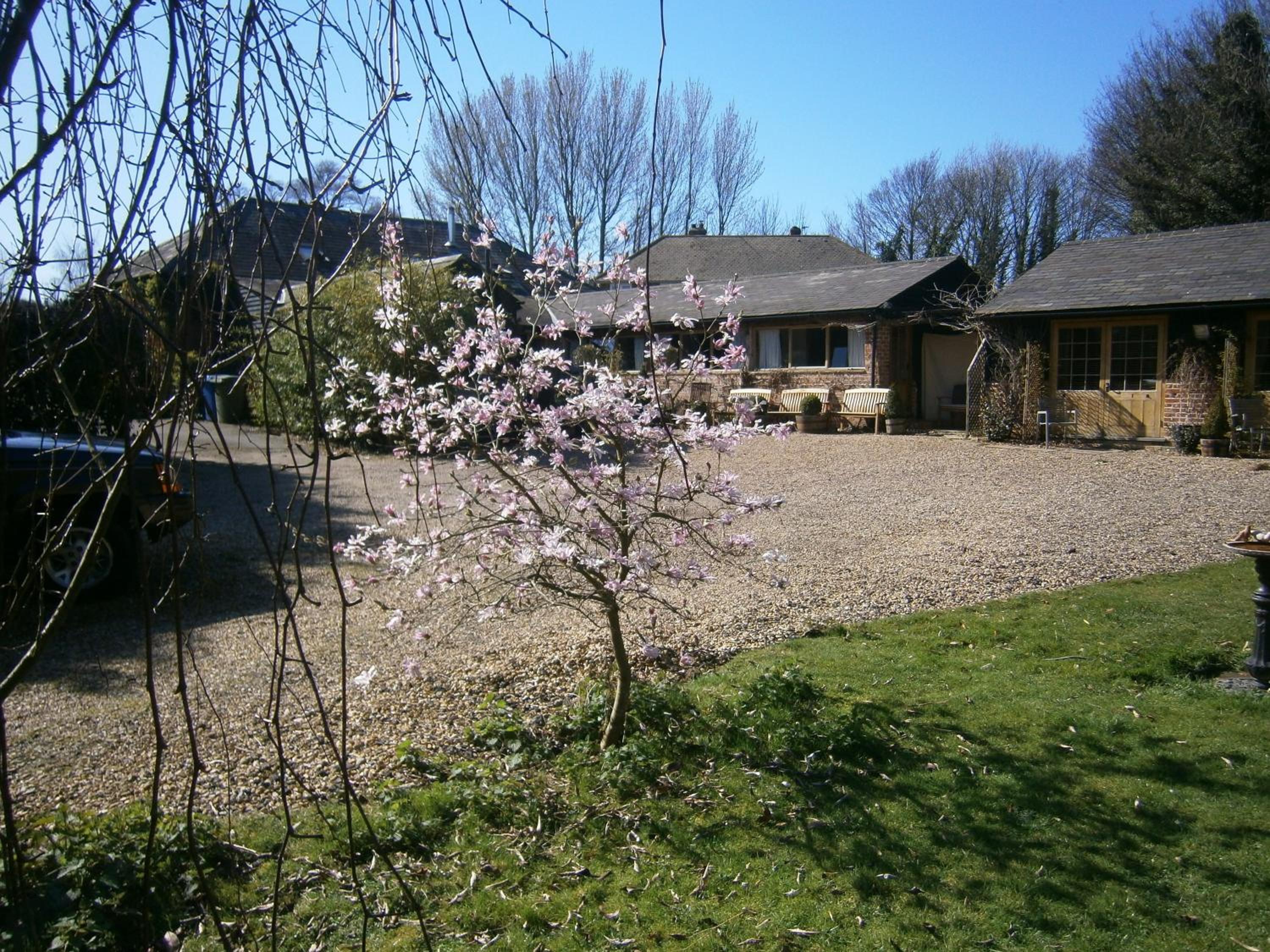 Photo 26