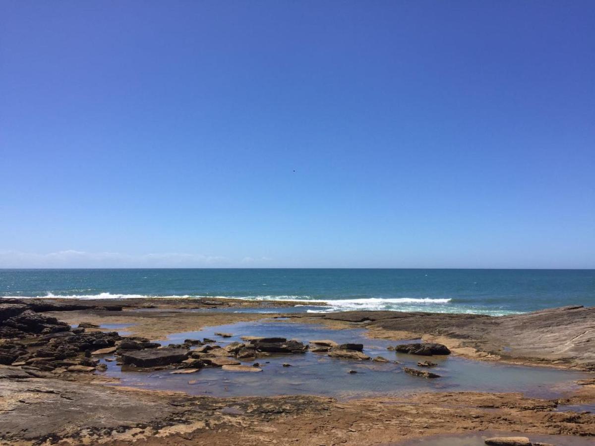 Orquídea Café