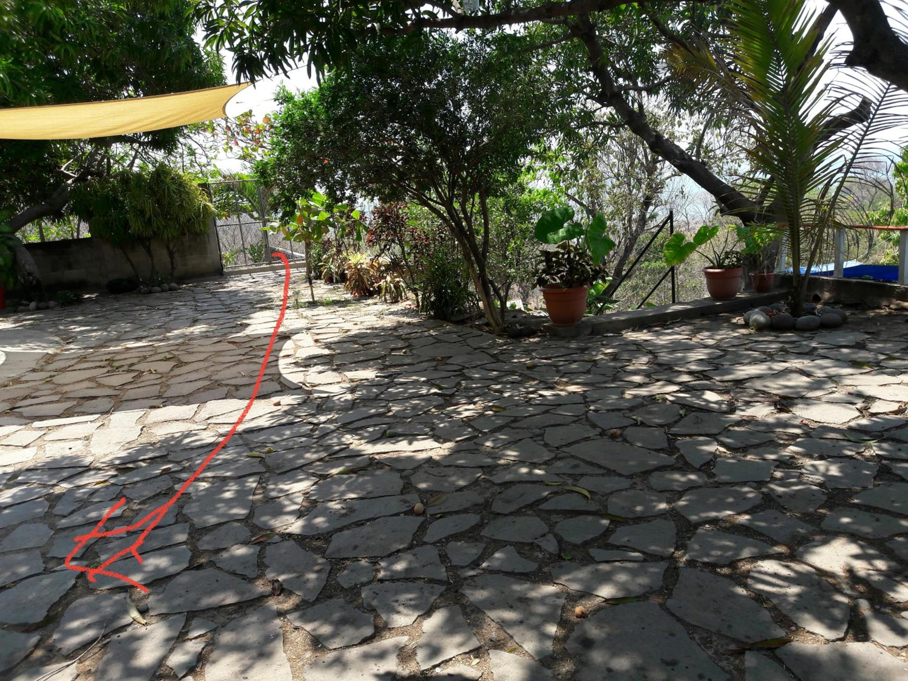 Photo 27