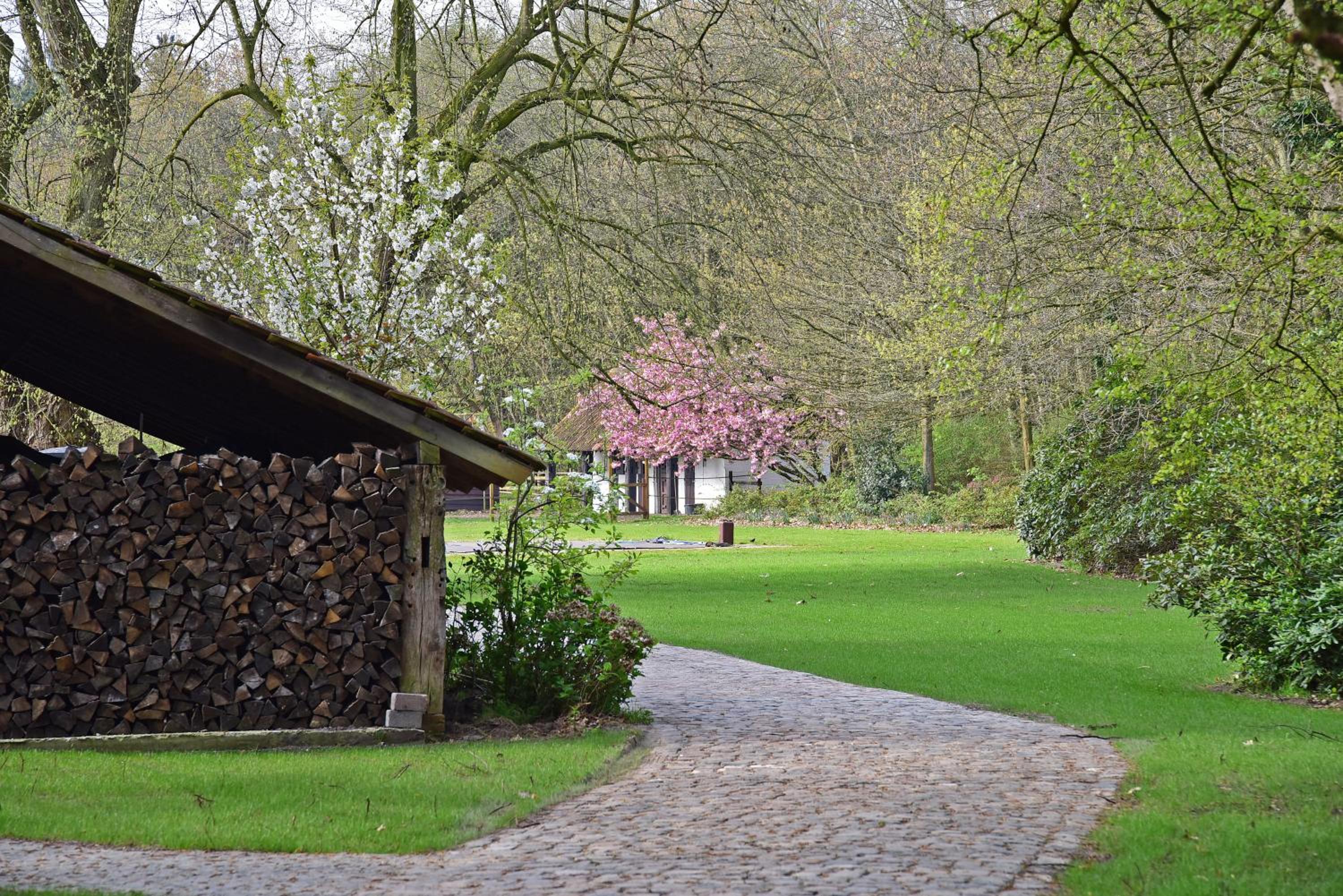 B&B Domein Rodin