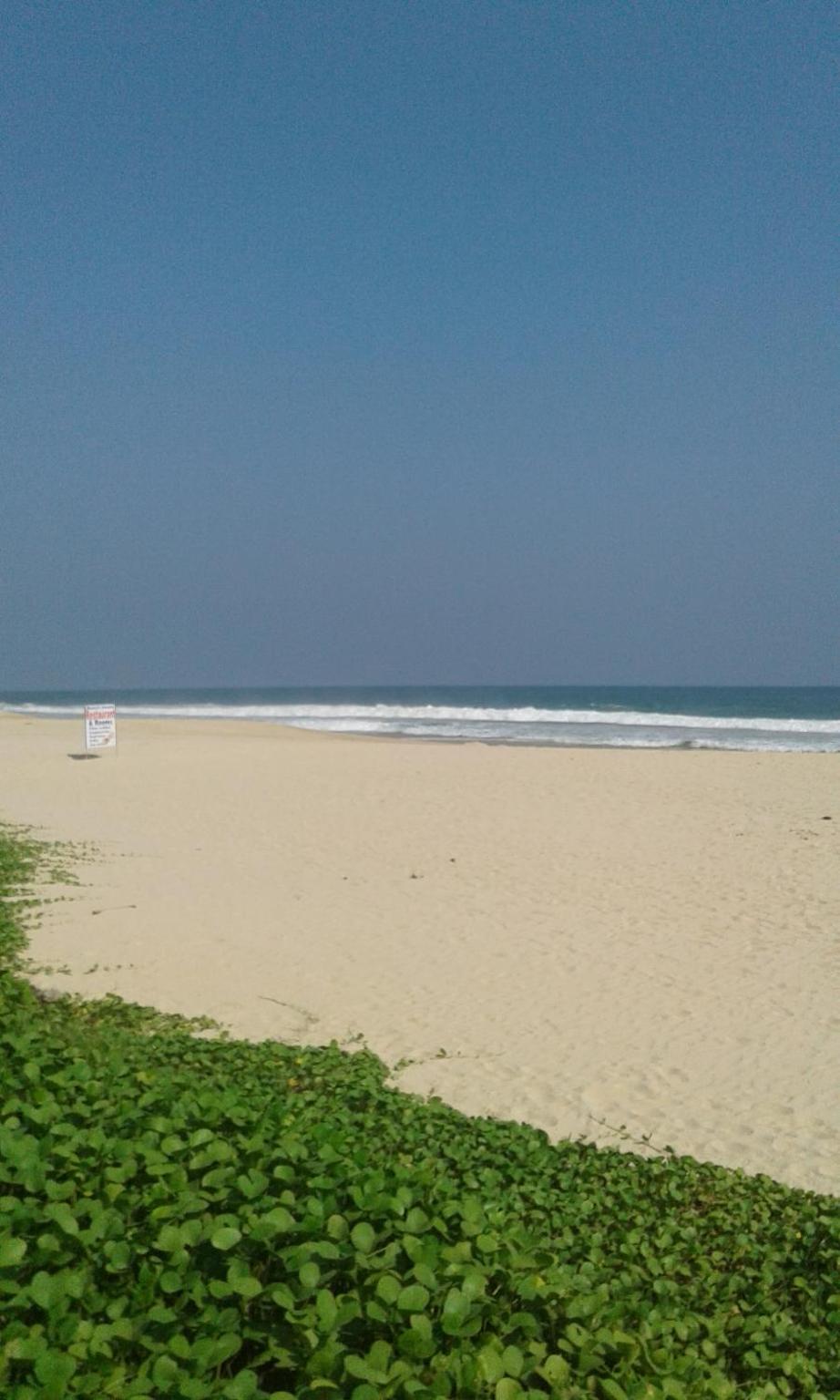 Sea Garden Beach Resort view 4
