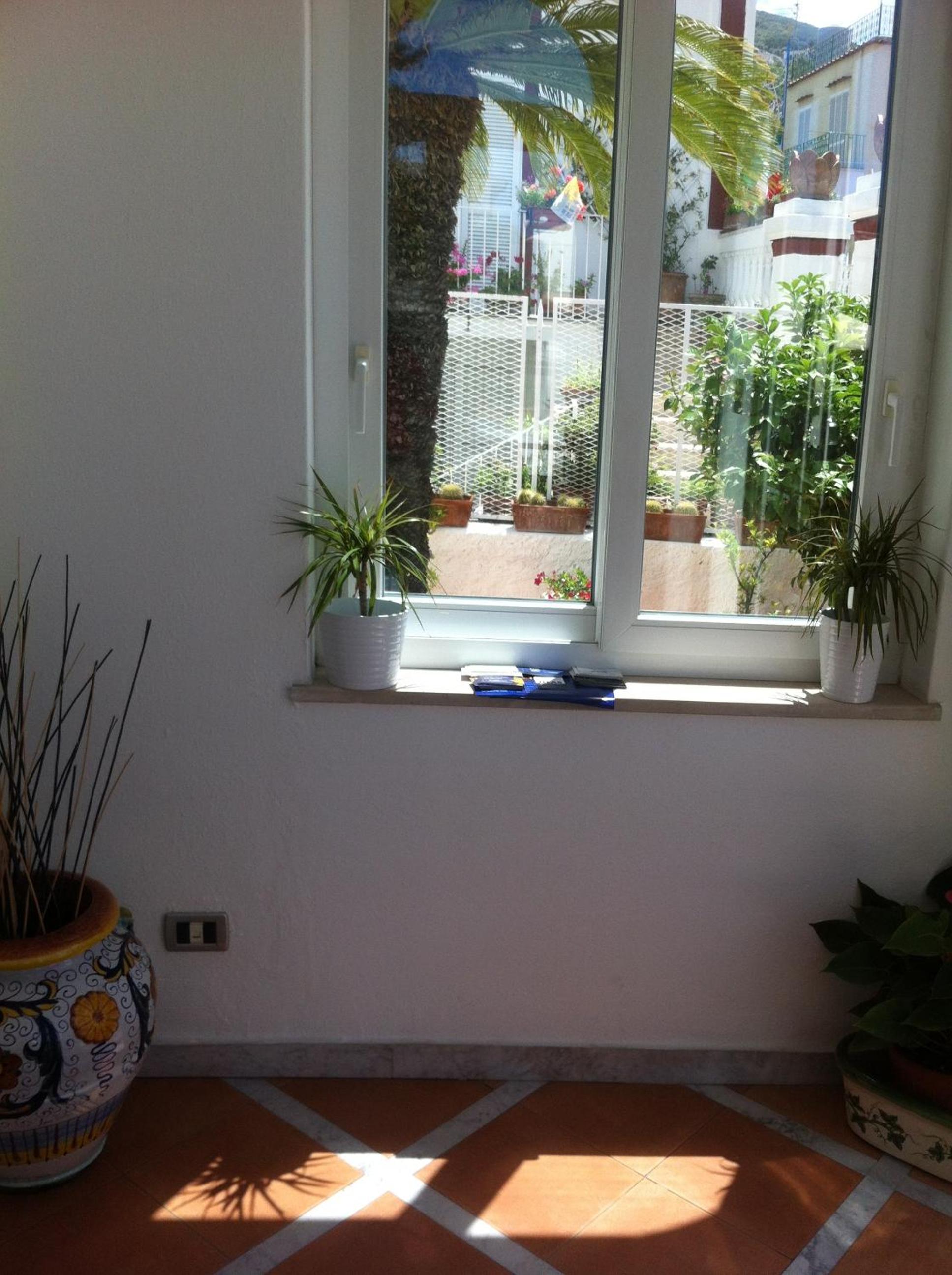 Photo 54
