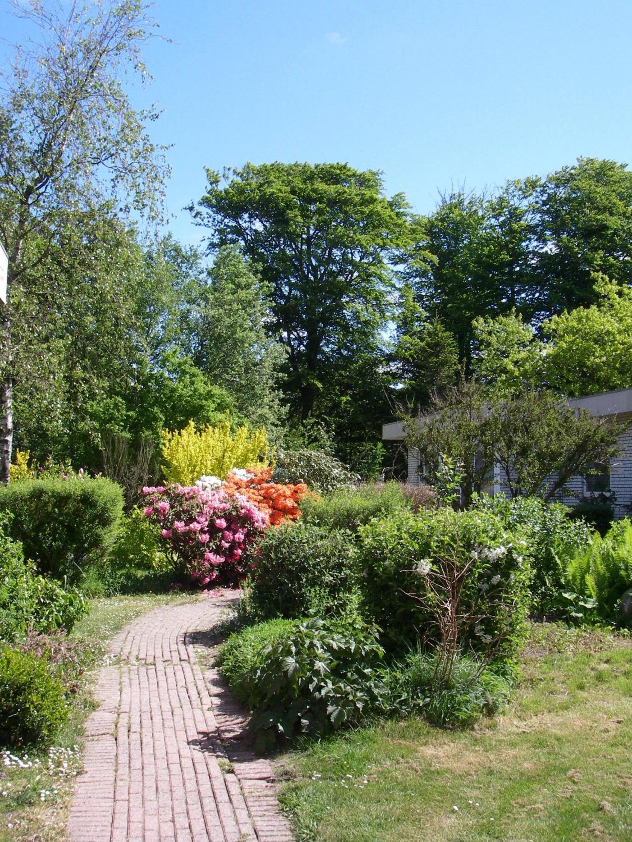 Photo 12