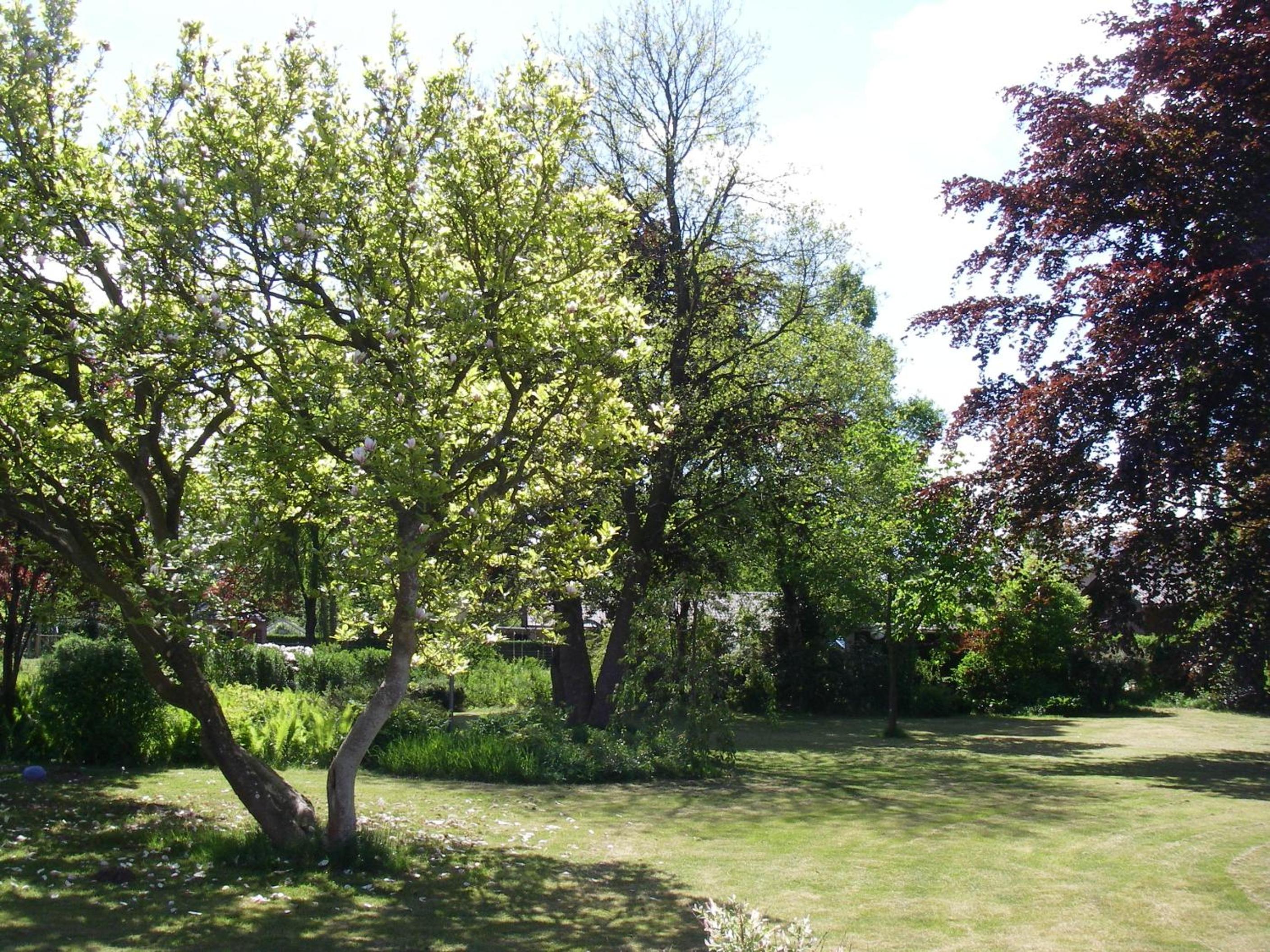 Photo 37