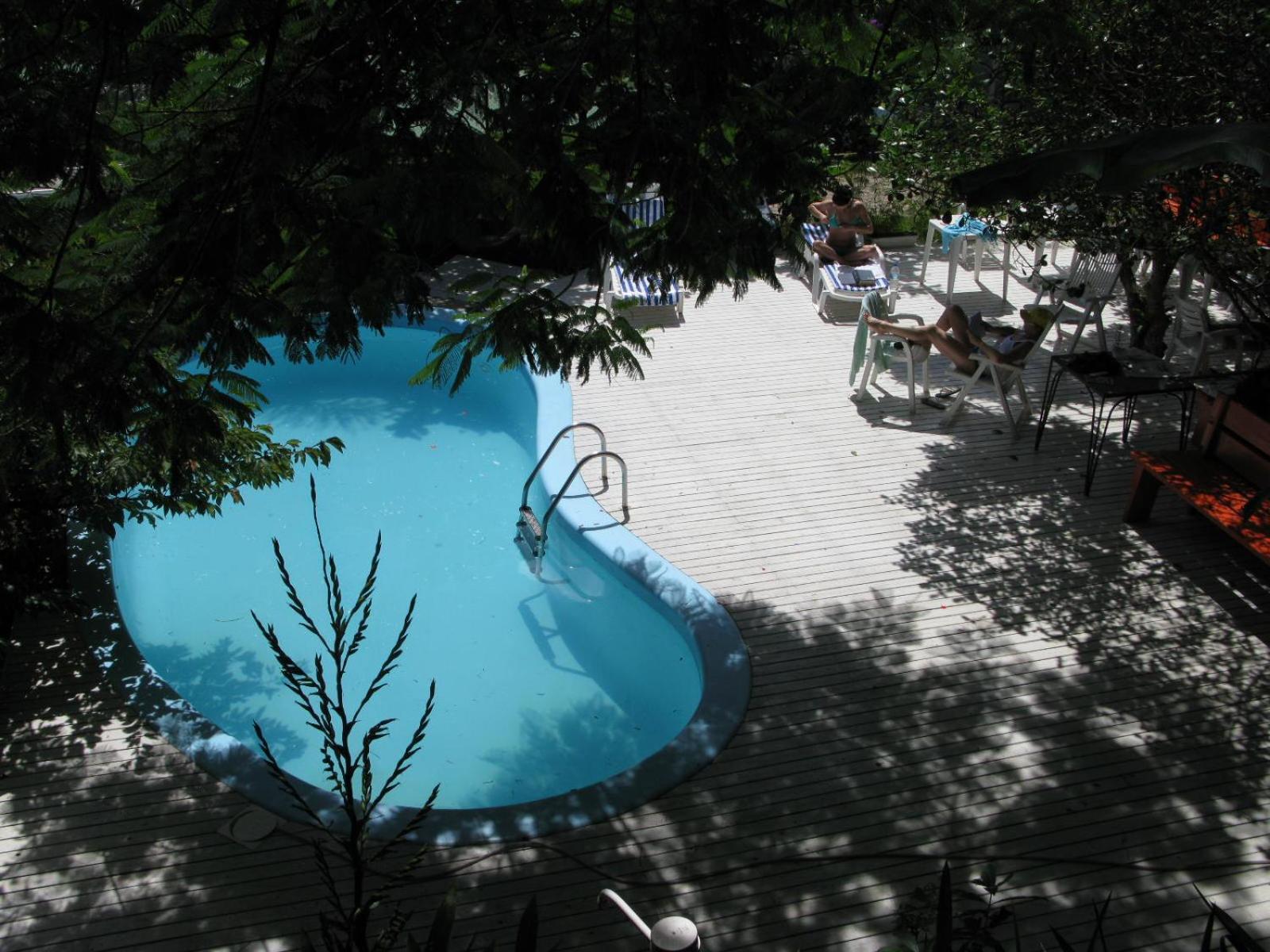 Photo 46