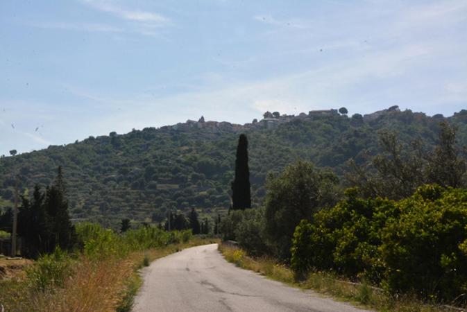 Photo 29