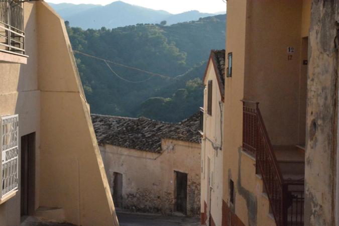Photo 42