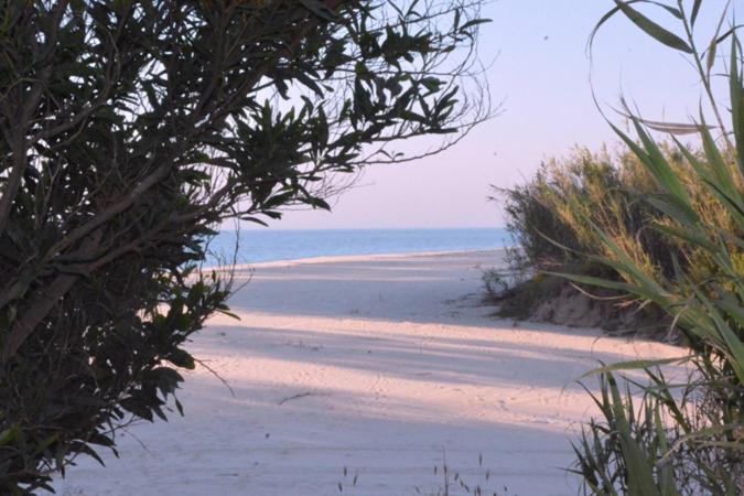 Photo 40