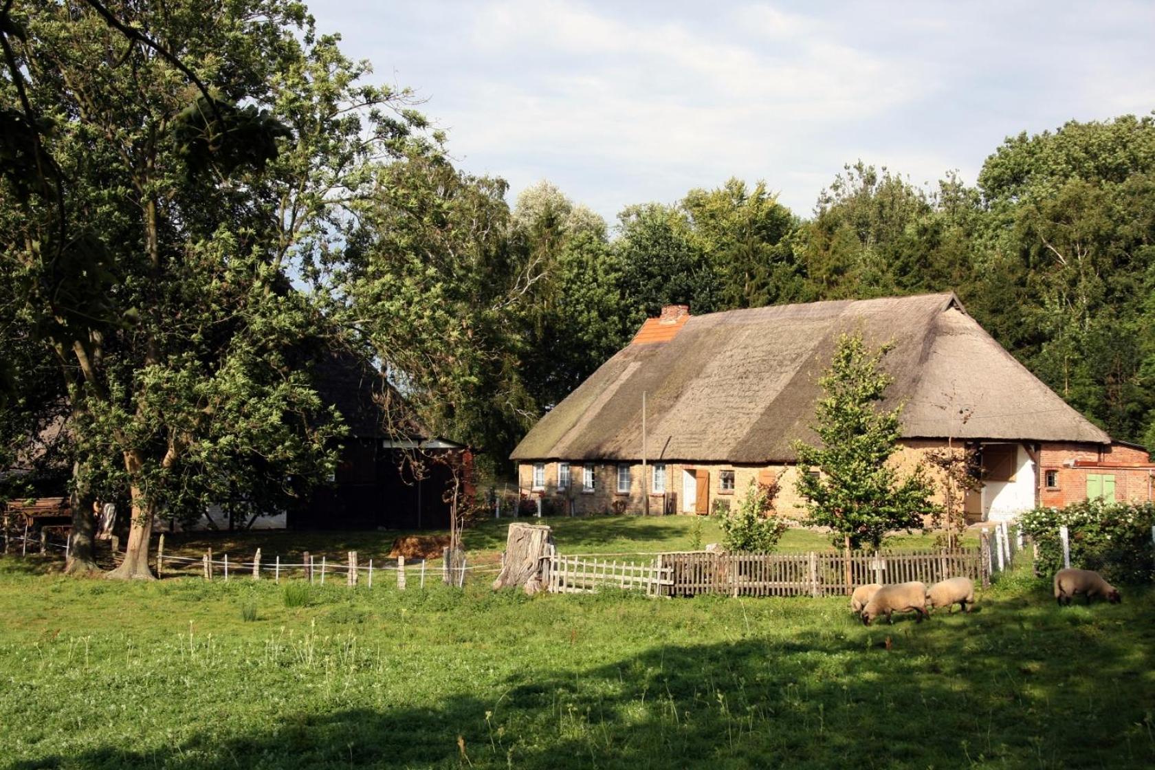 Villa DUXCAAR