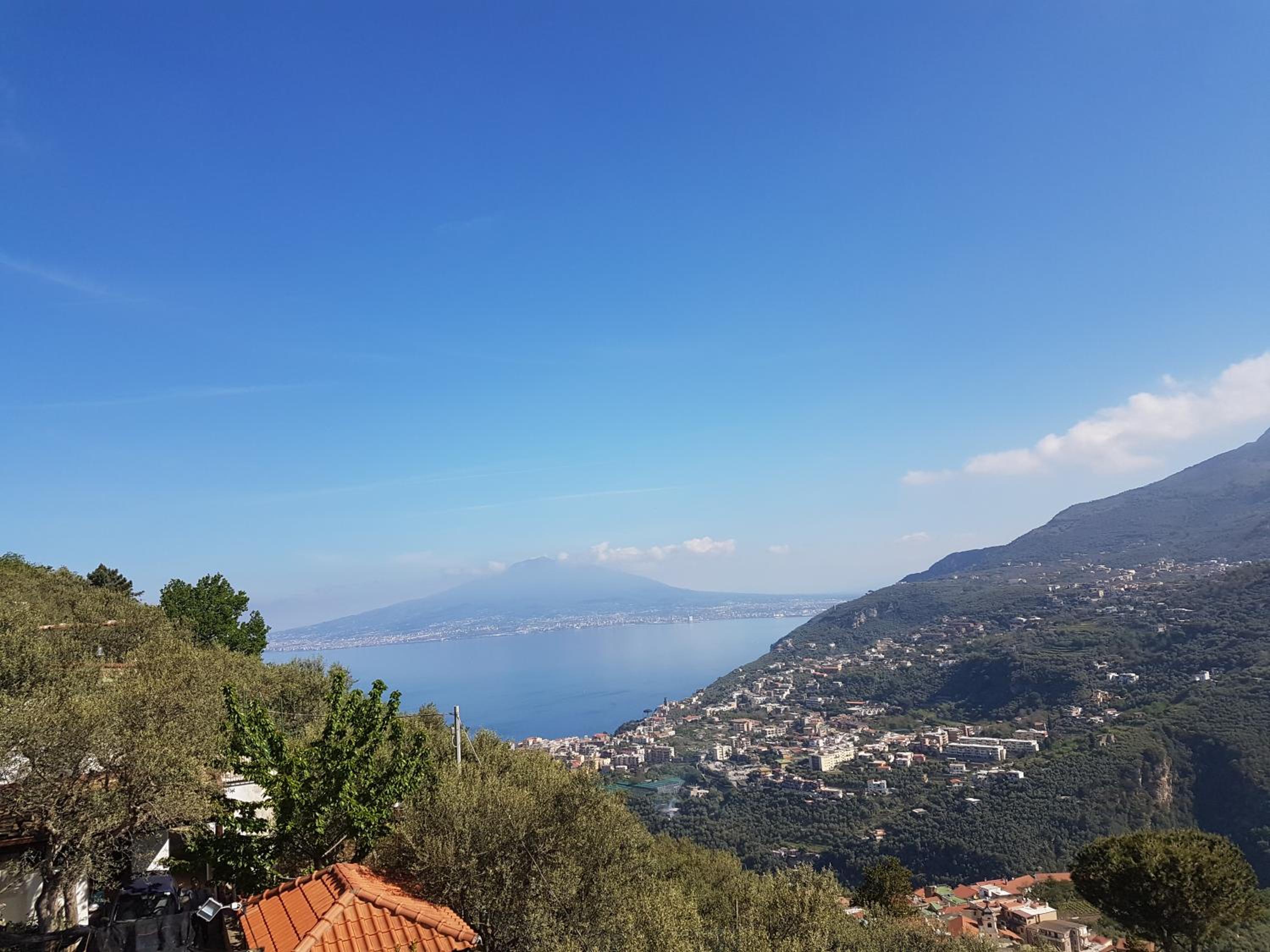 Bed And Breakfast Sunflower photo 2