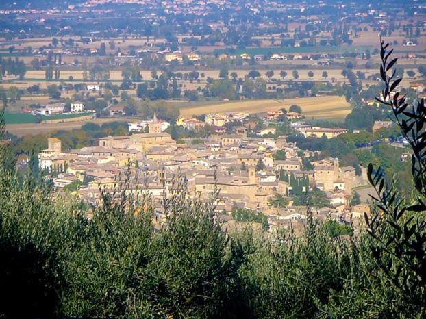 B&B Porta Perugina view 3