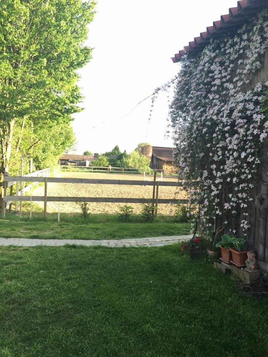 Photo 8