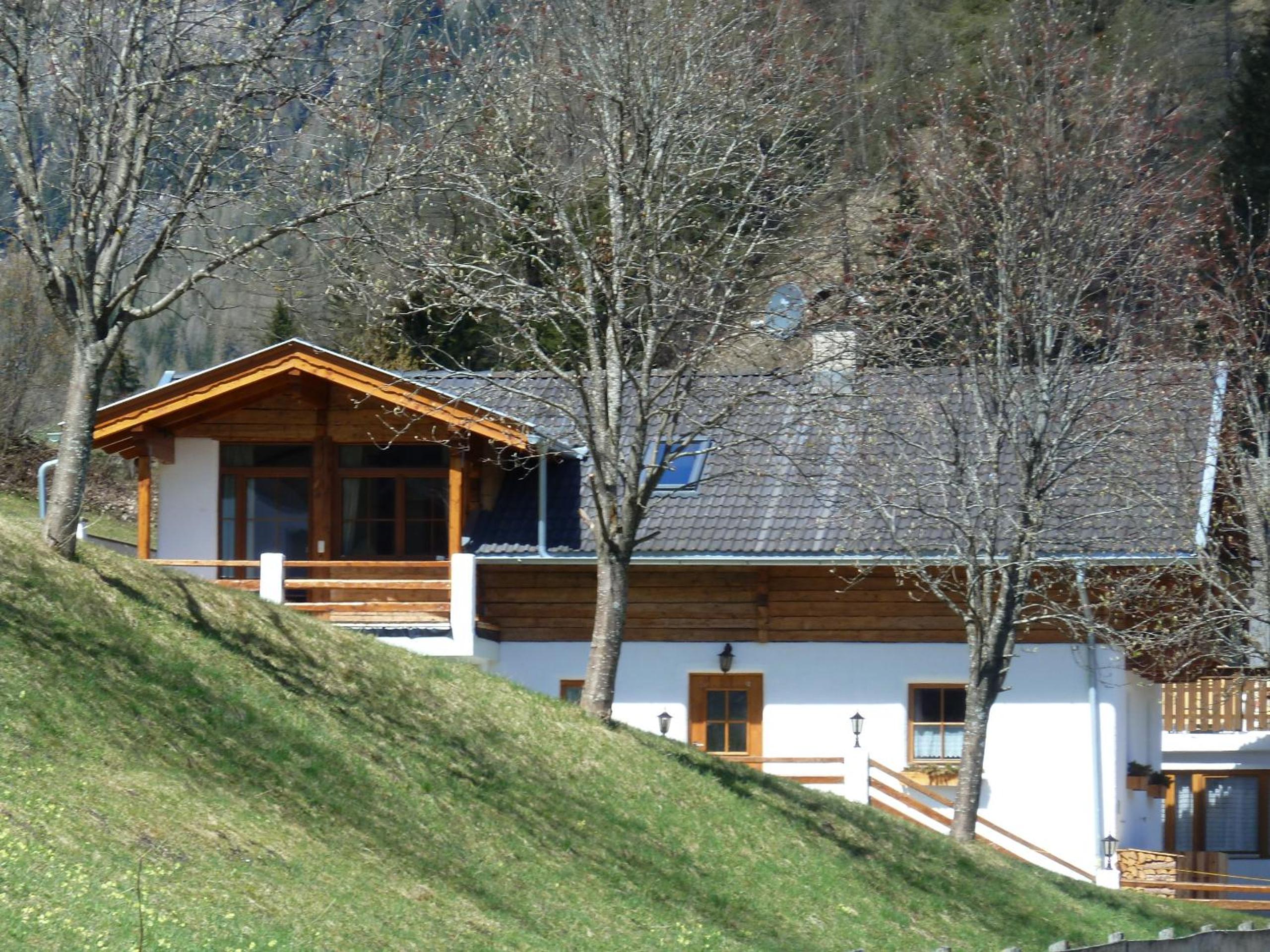 Chalet Alpin