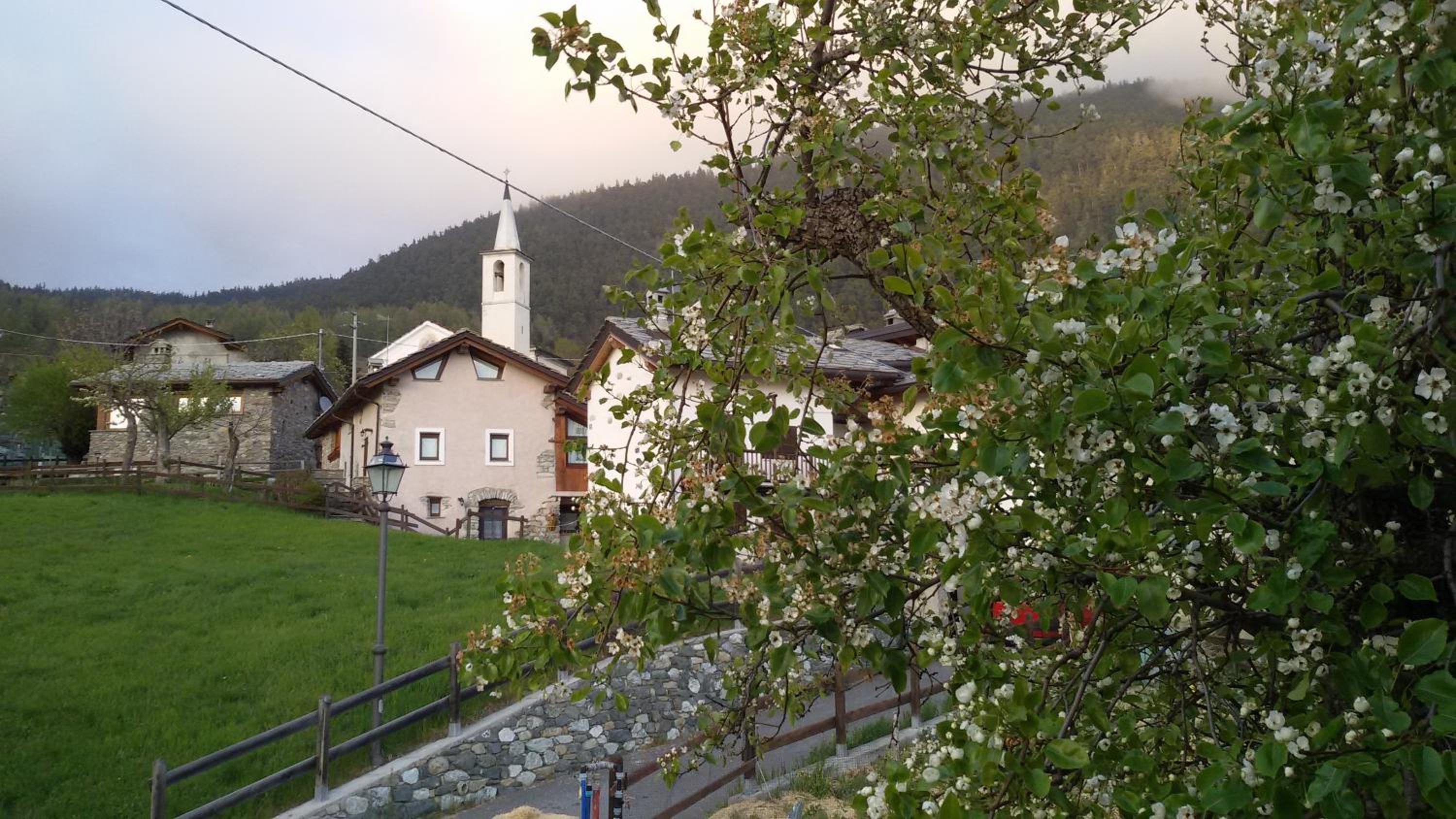 Photo 13
