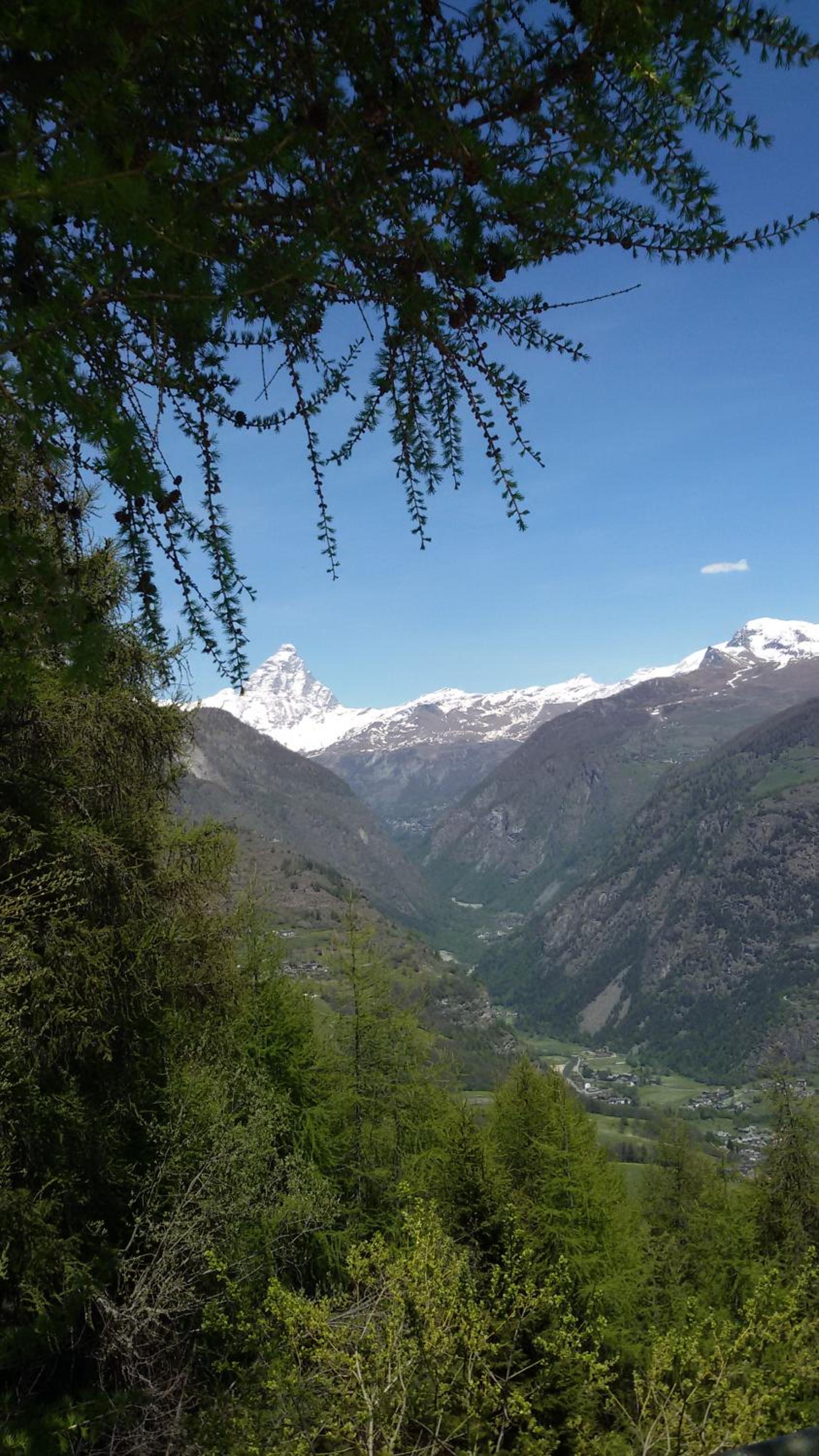 Photo 20
