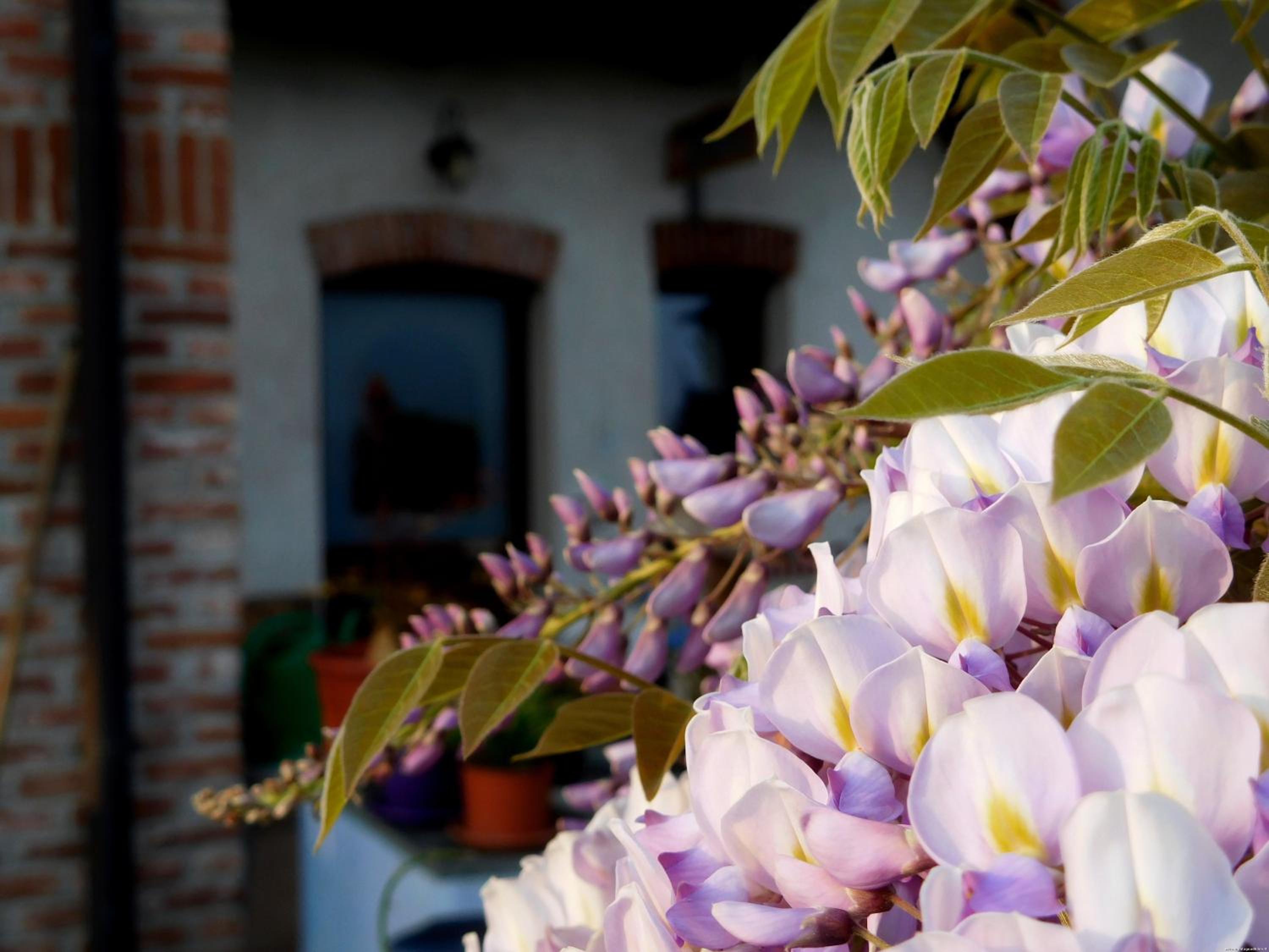 Bed and breakfast Al Rudun