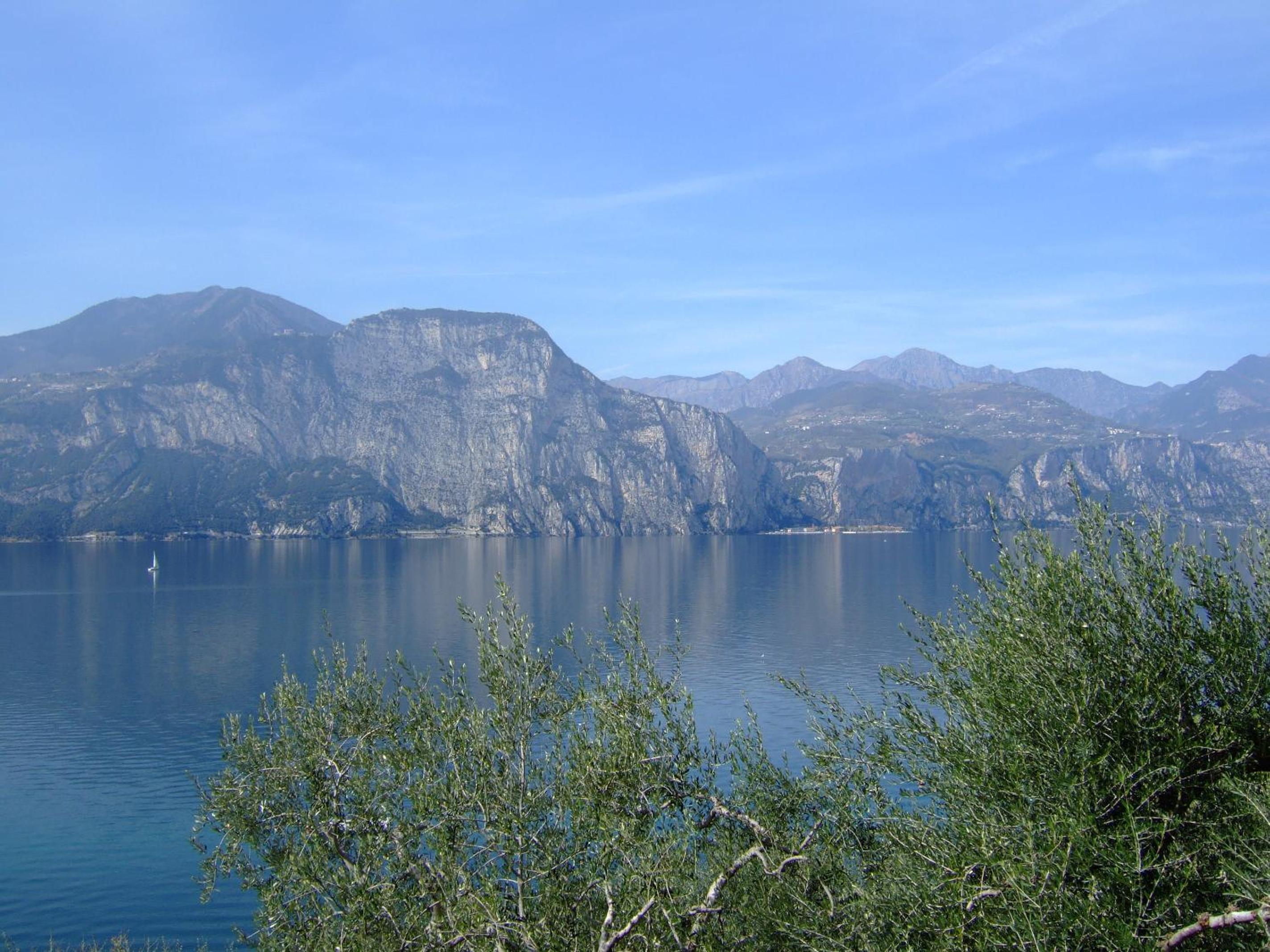 Photo 29