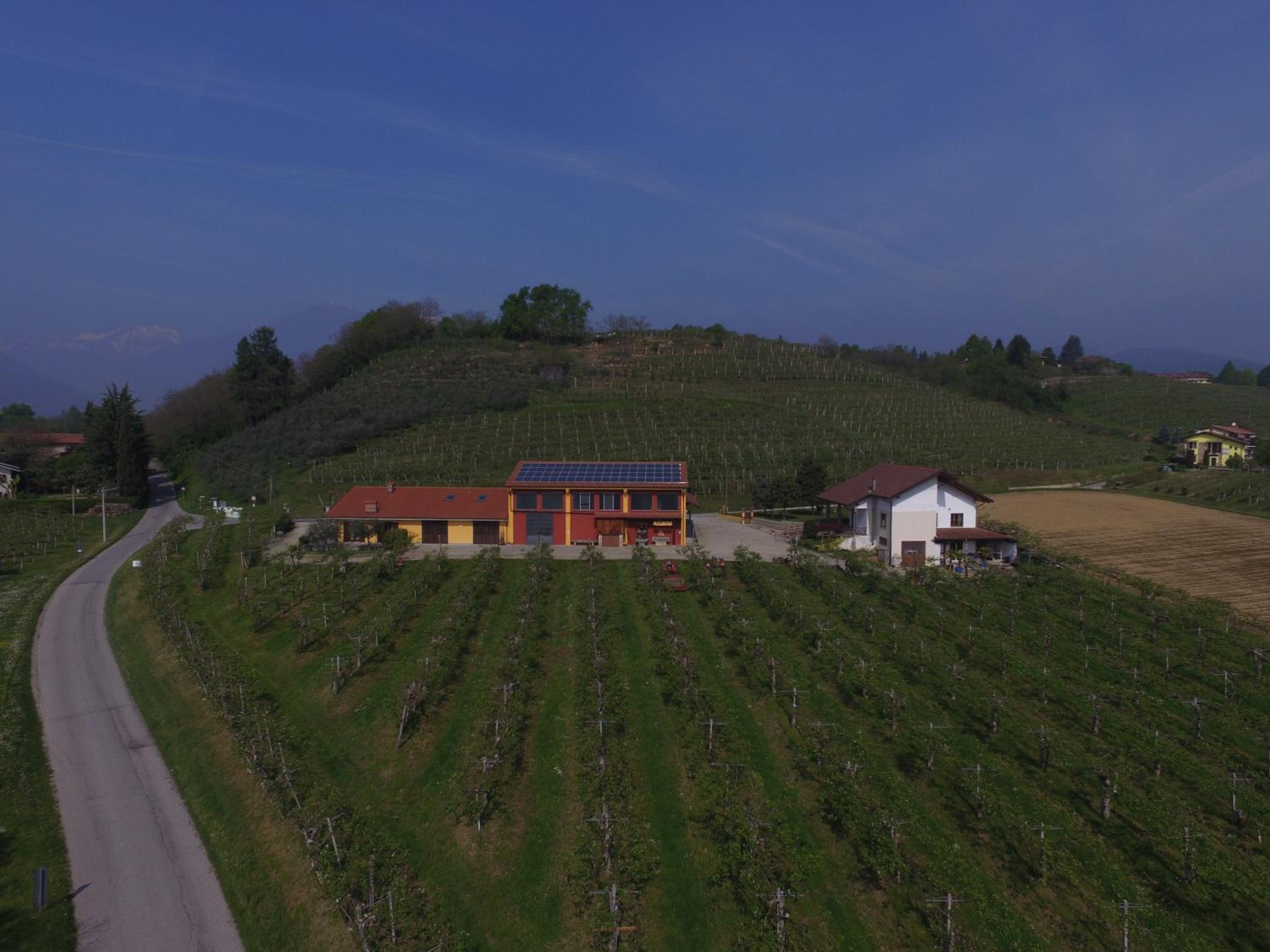 Agrialpi by Salfrutta