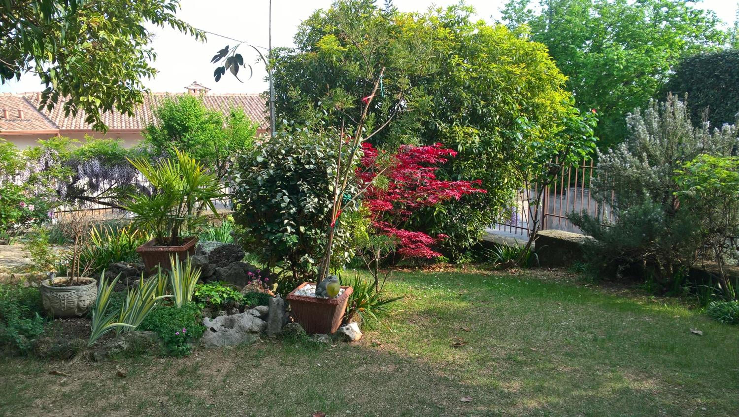 Photo 43