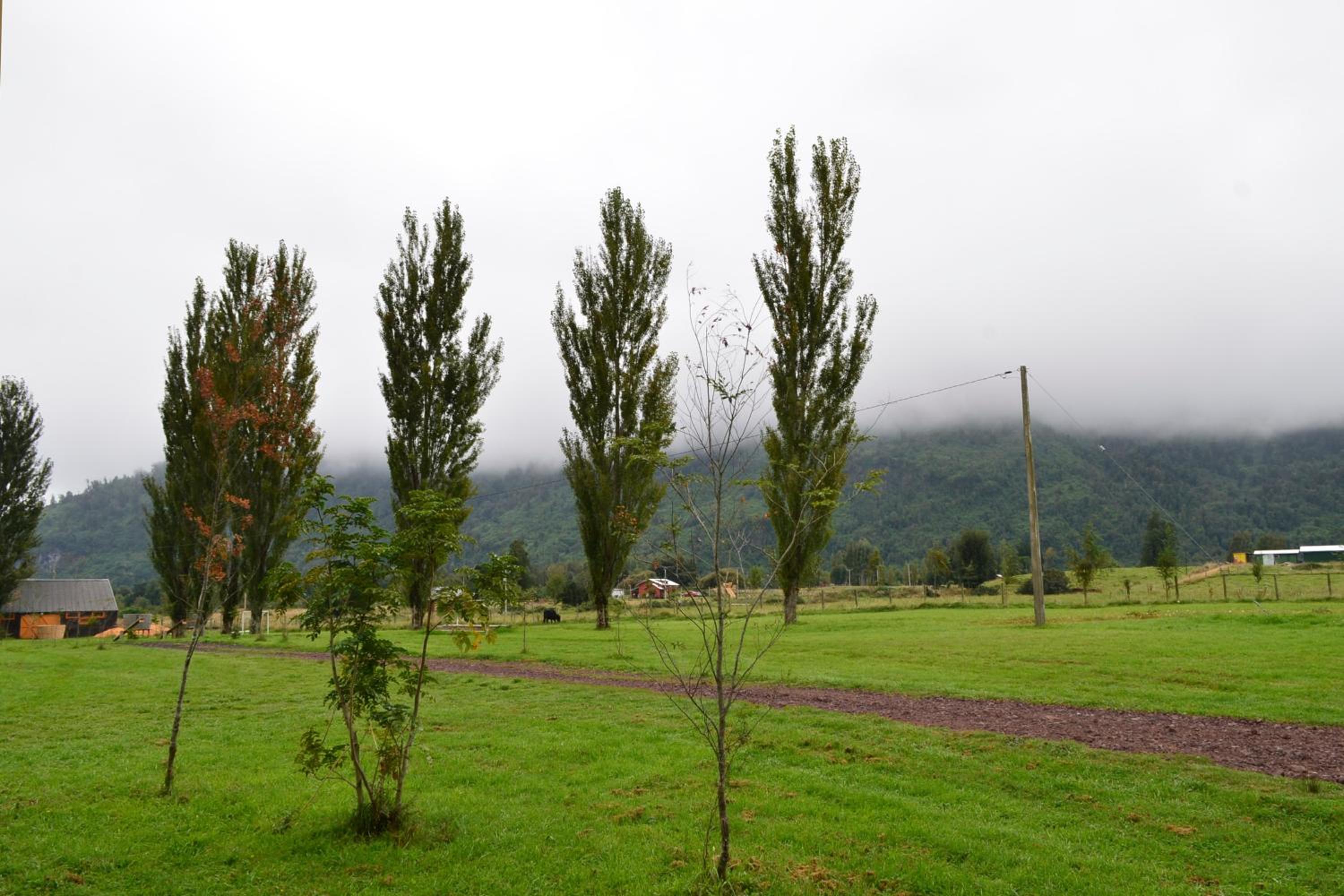 El Descanso del Quijote