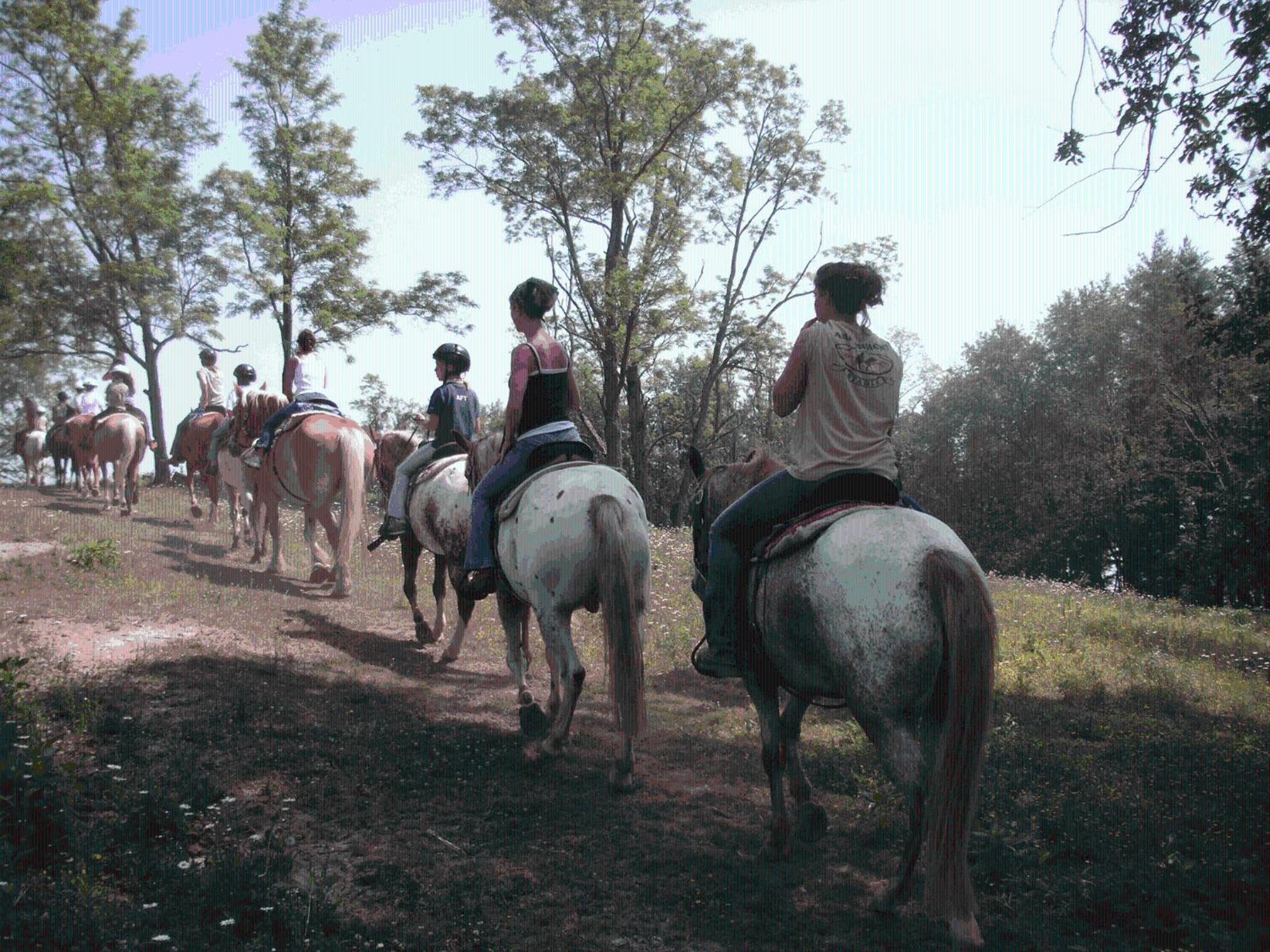 Arrowmont Stables & Cabins