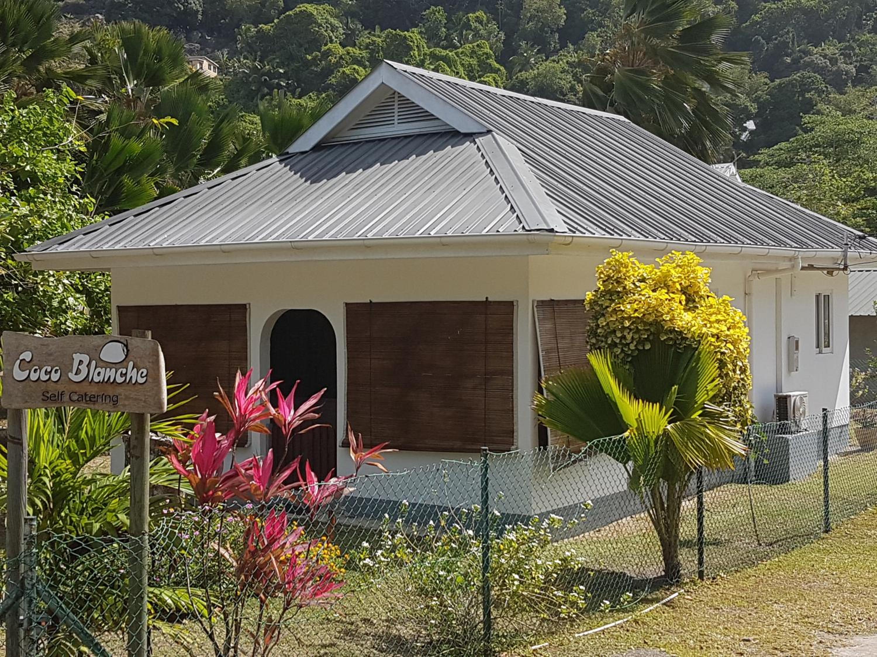 Coco Blanche photo 4