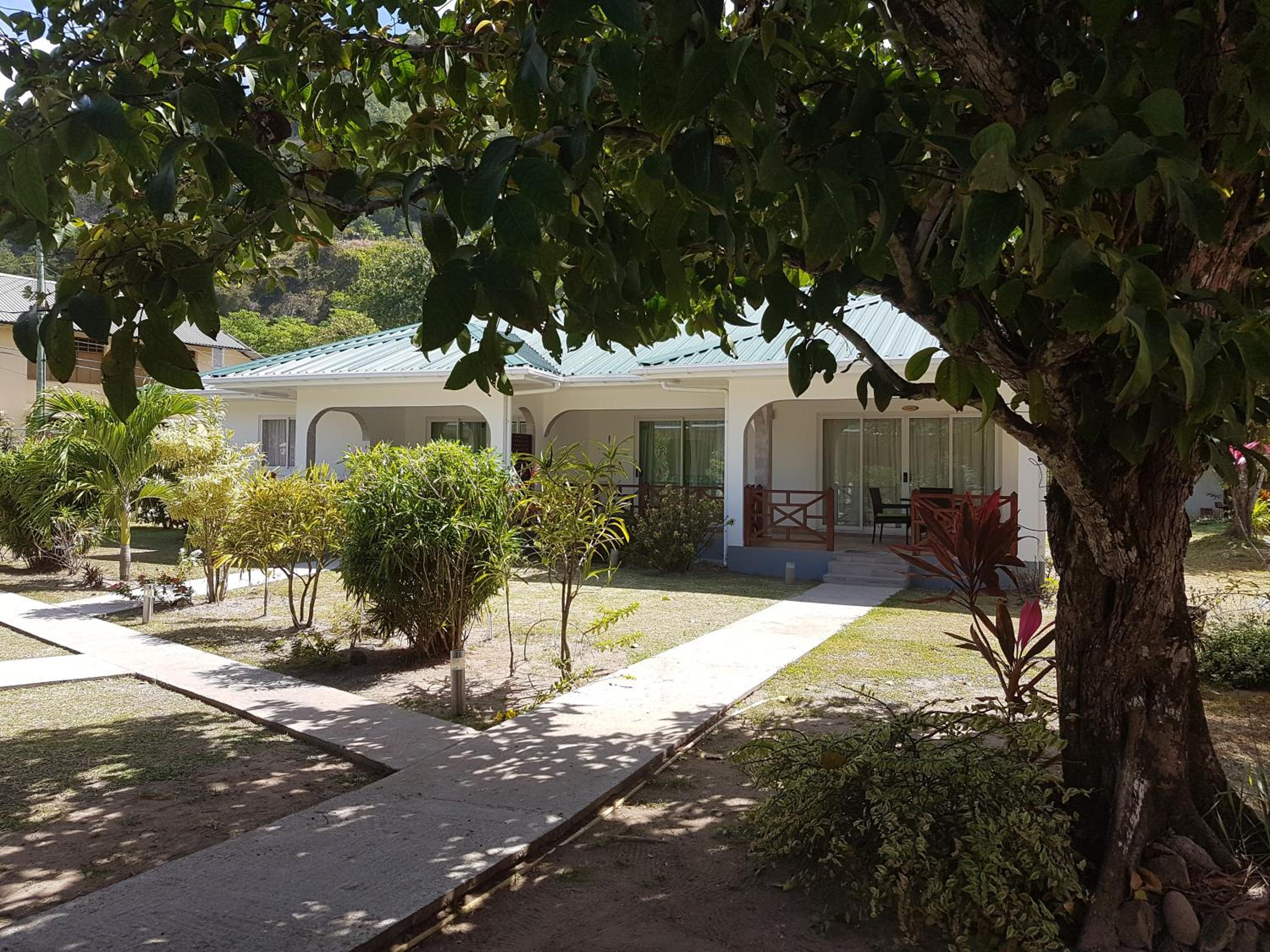 Coco Blanche photo 3