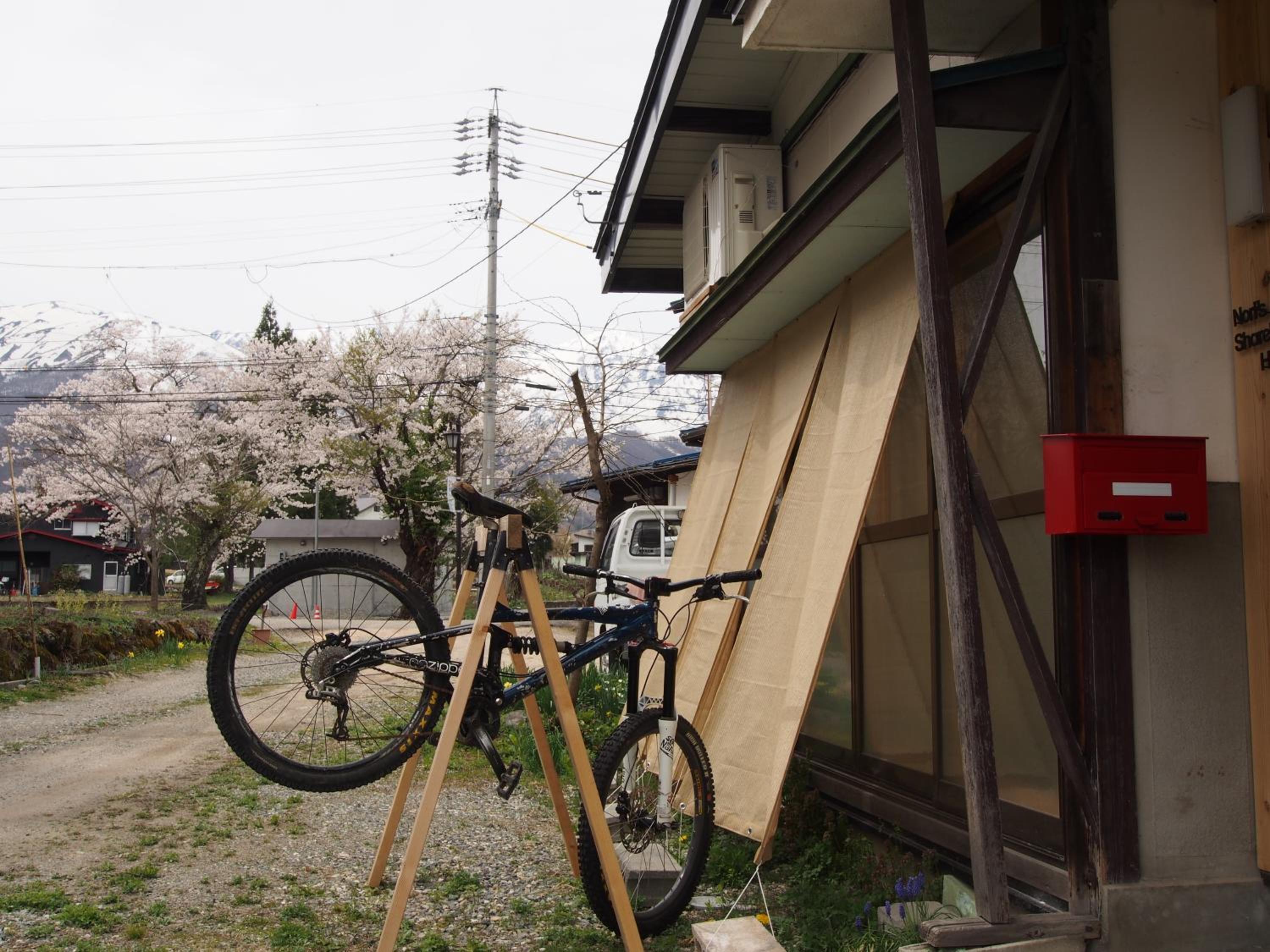 Photo 19