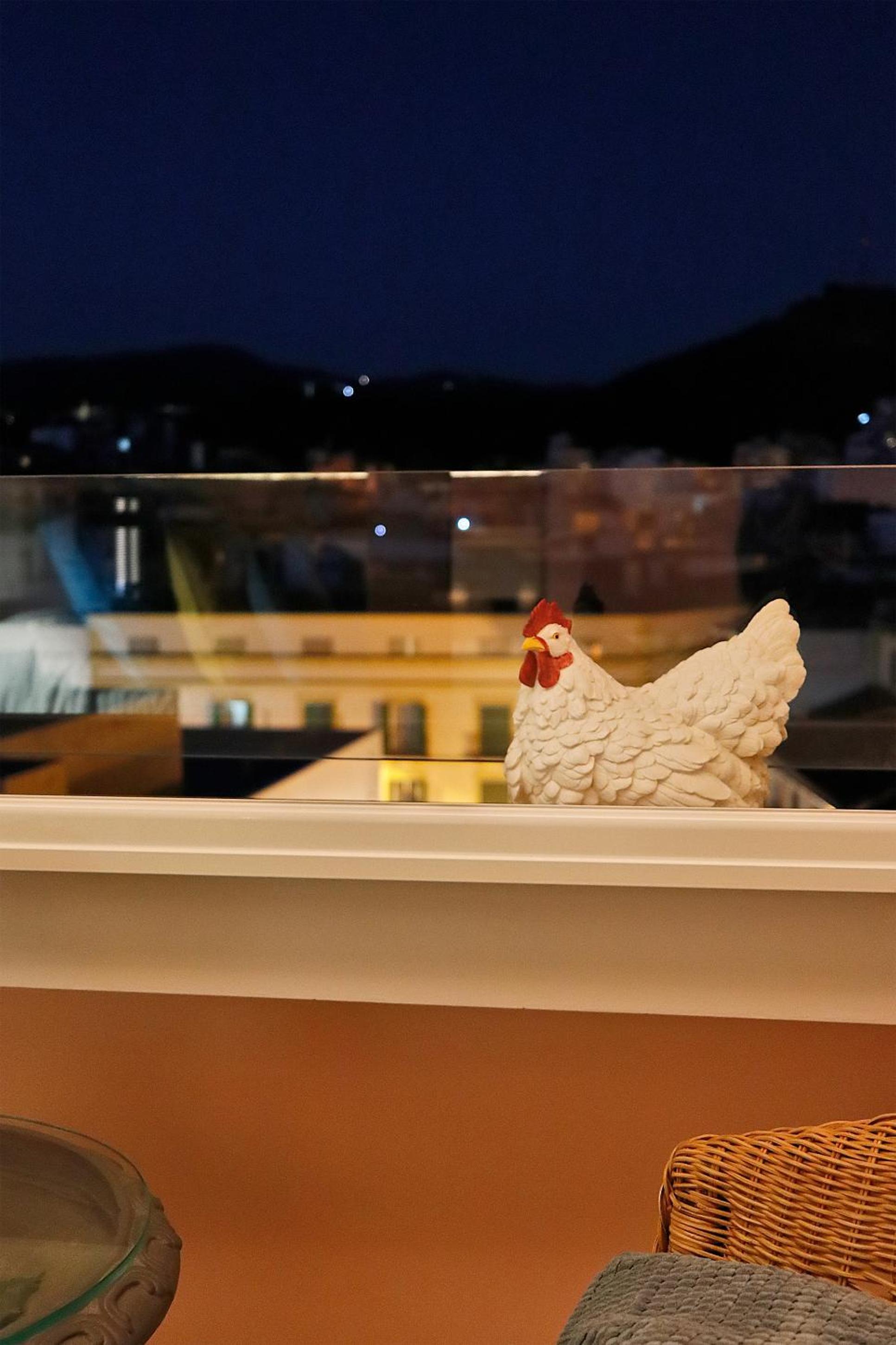 Picasso's Birthplace Views