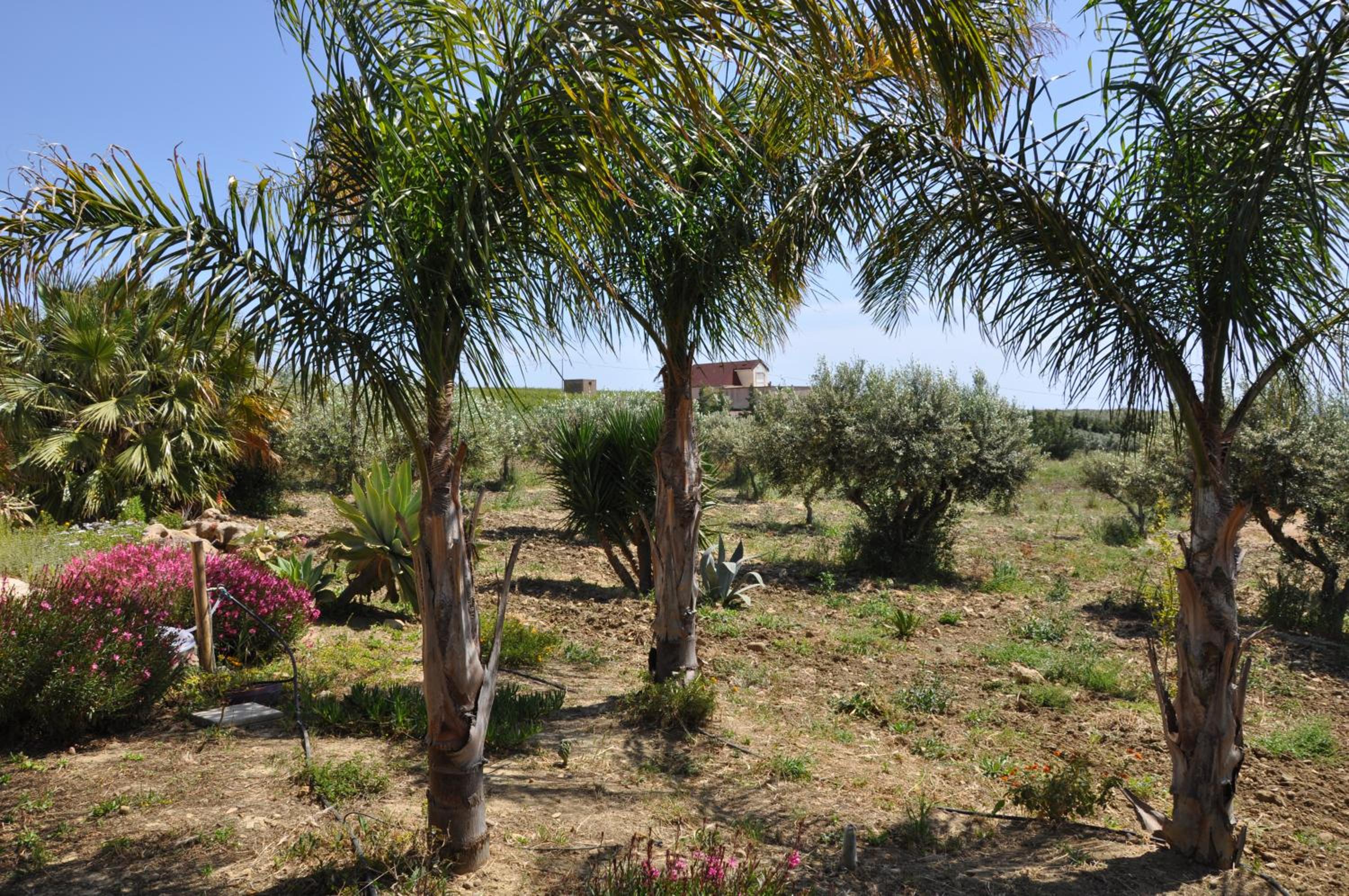 Casa vacanza Nocellara view 4