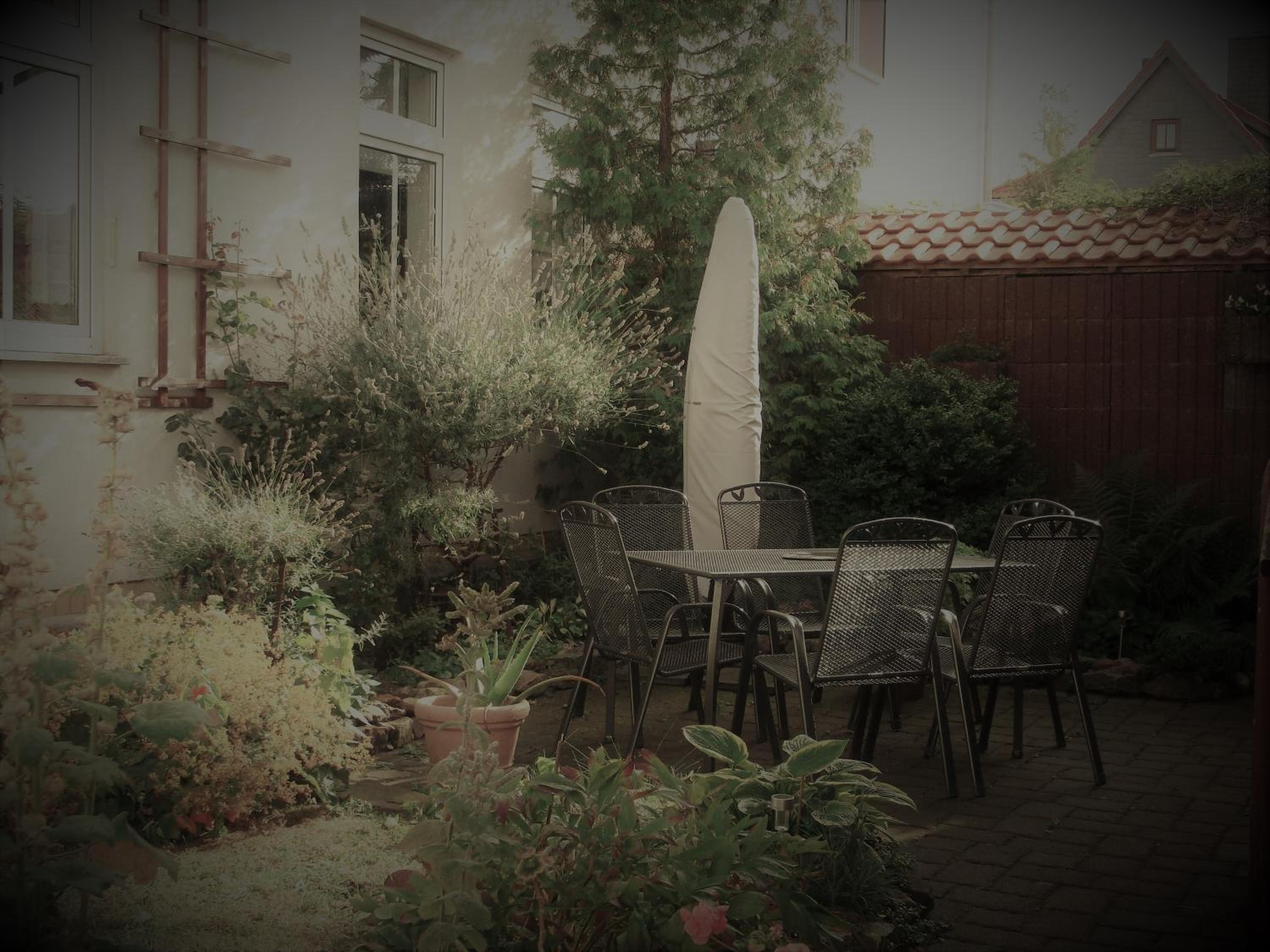 Photo 33
