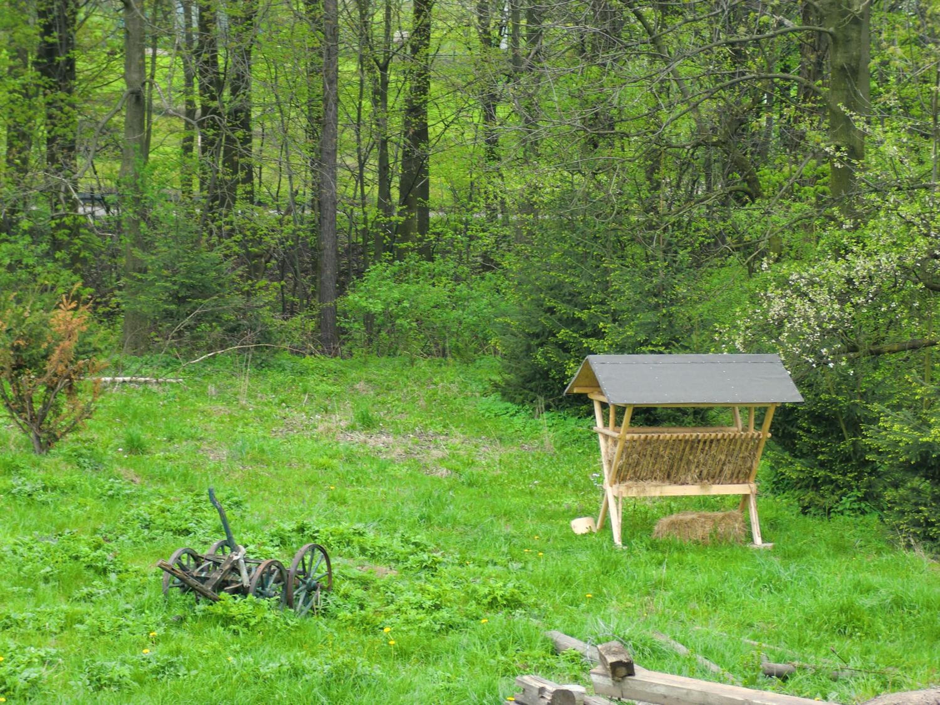 Photo 43