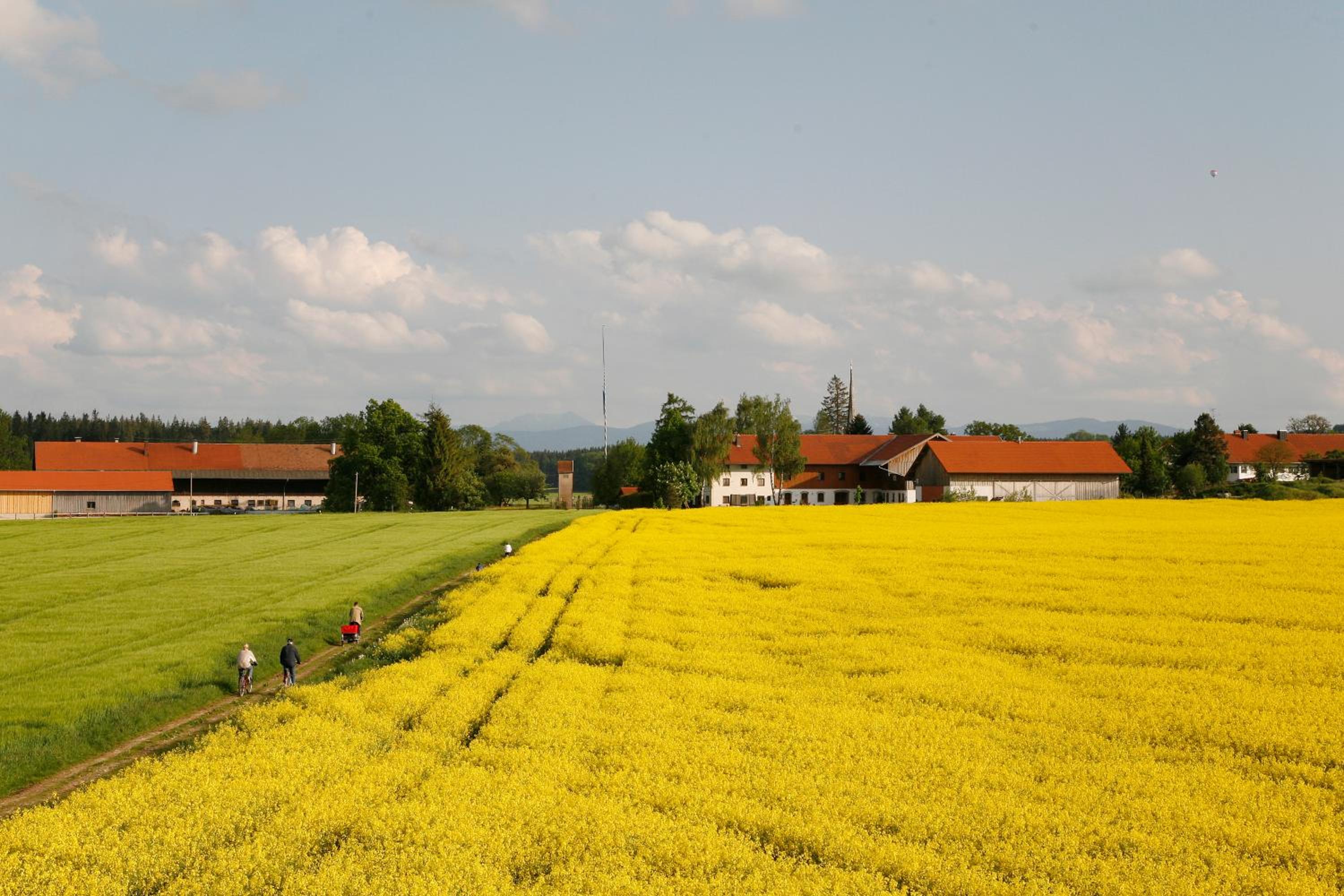 Pension Bernhardhof - Property Image 13