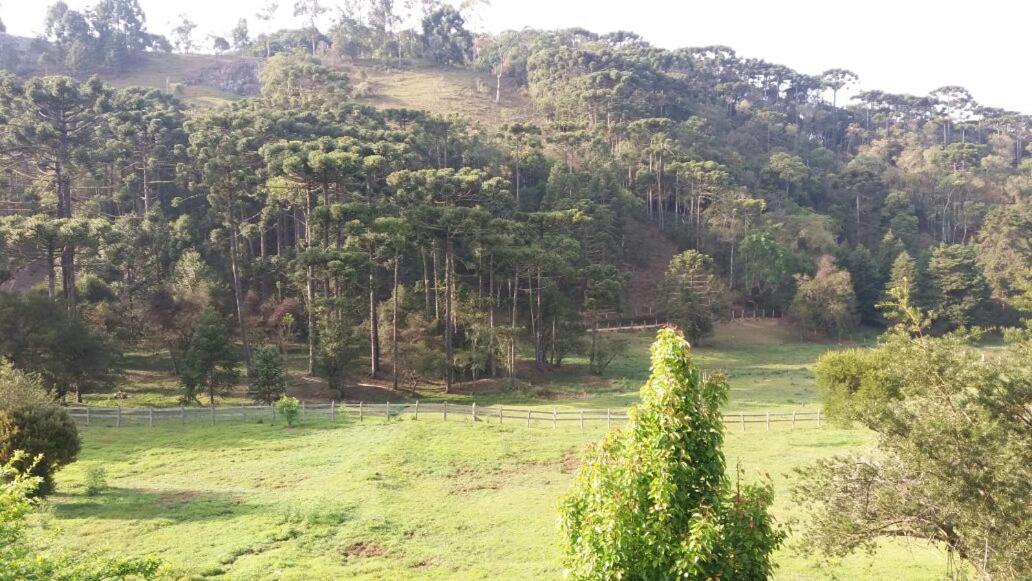 Sitio Rosa de Minas