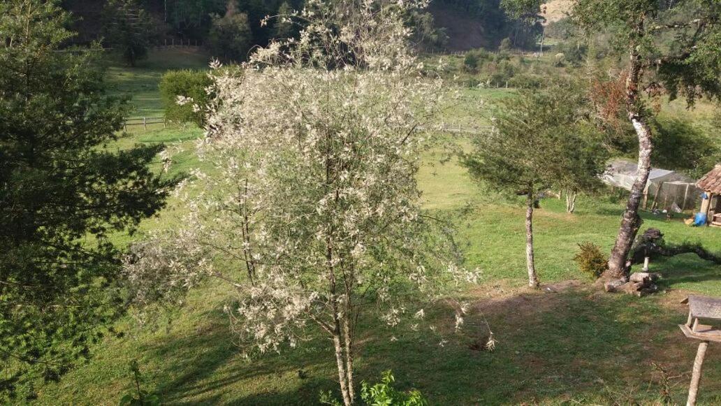 Sitio Rosa de Minas