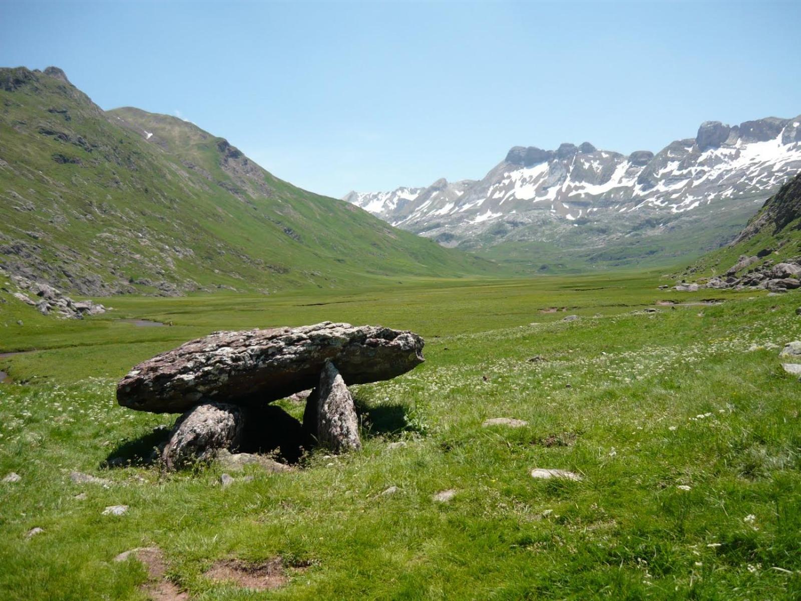 Photo 49