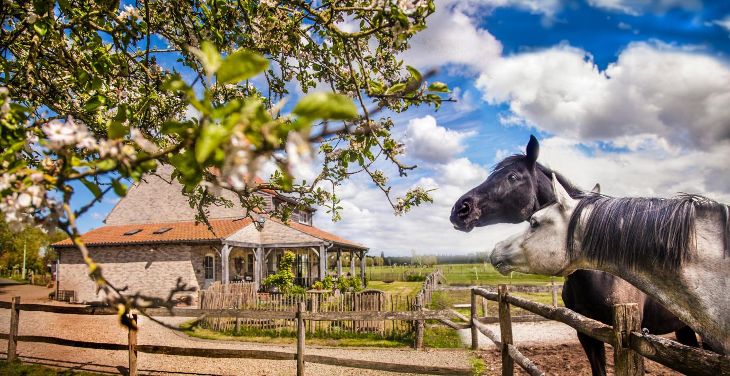 B&B De Vossenbarm