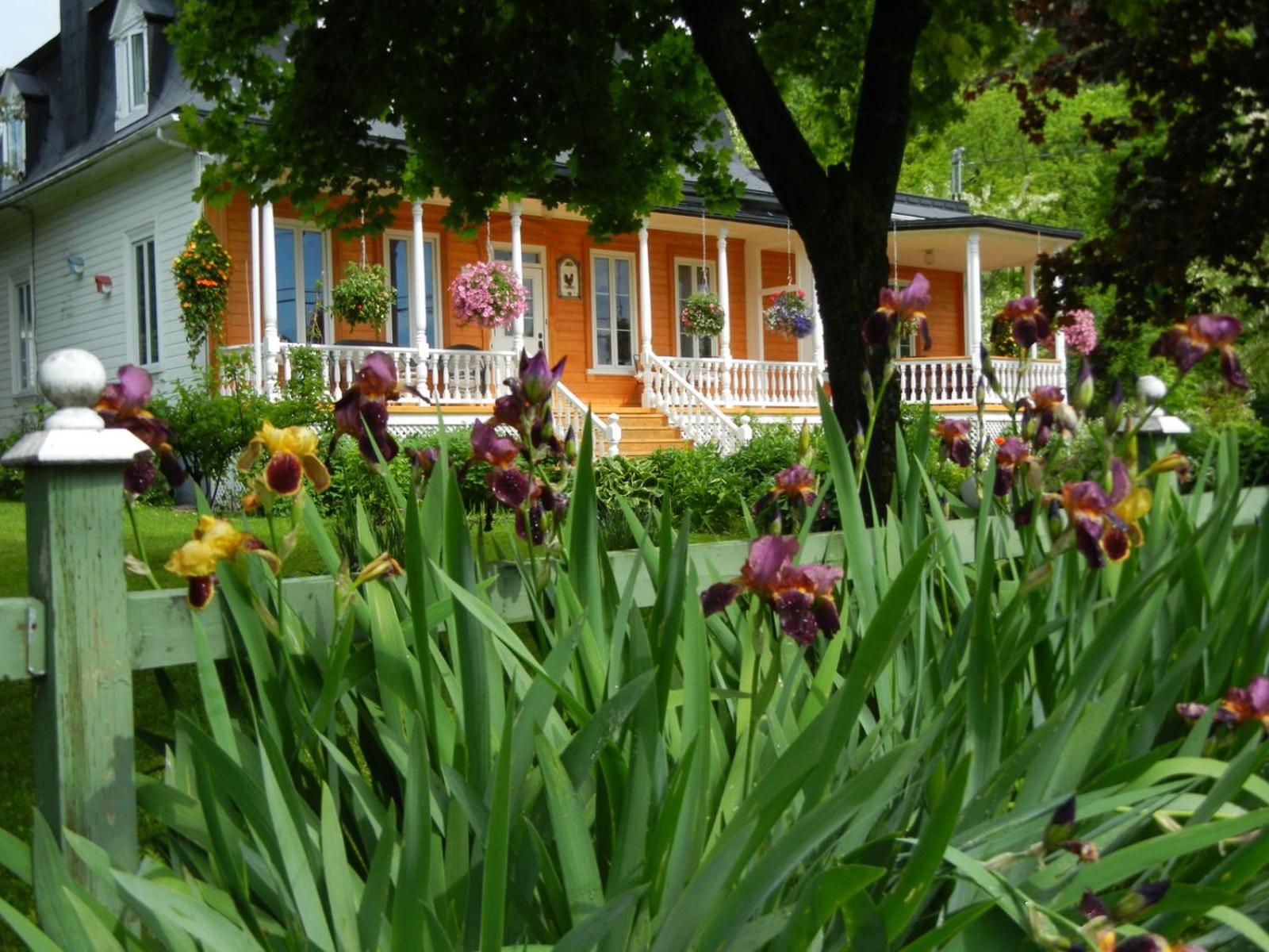 Auberge du Sault-à-la-Puce