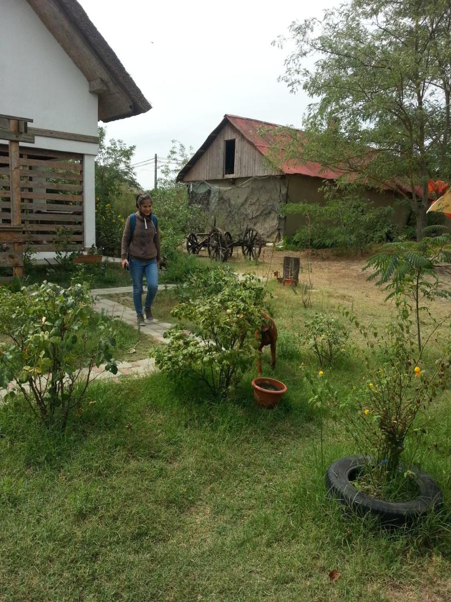 Photo 41