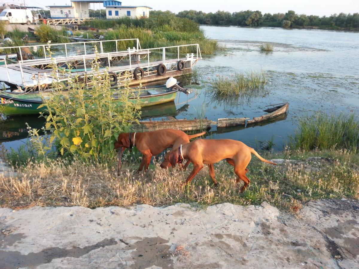 Photo 49