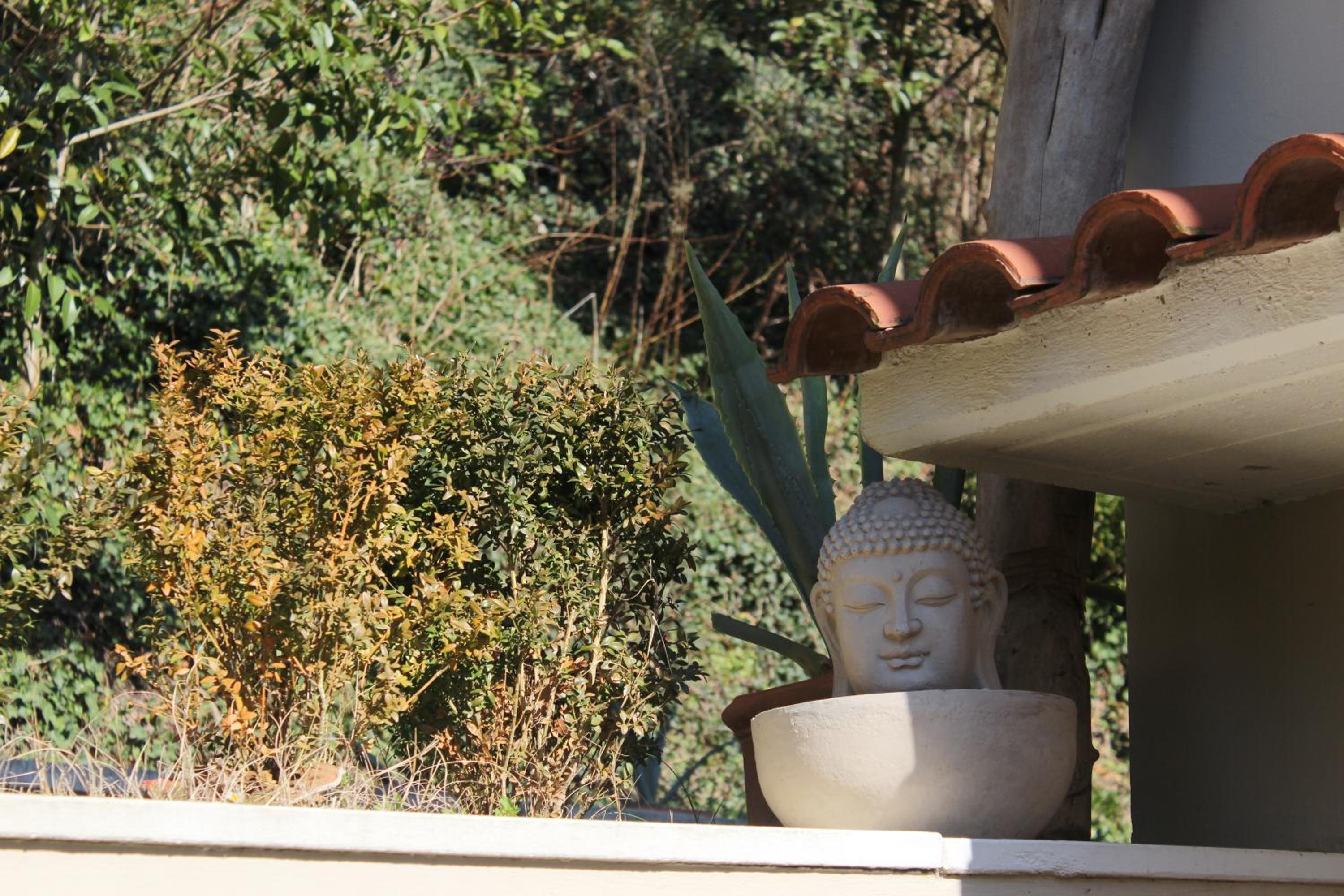 Home Meditamondo