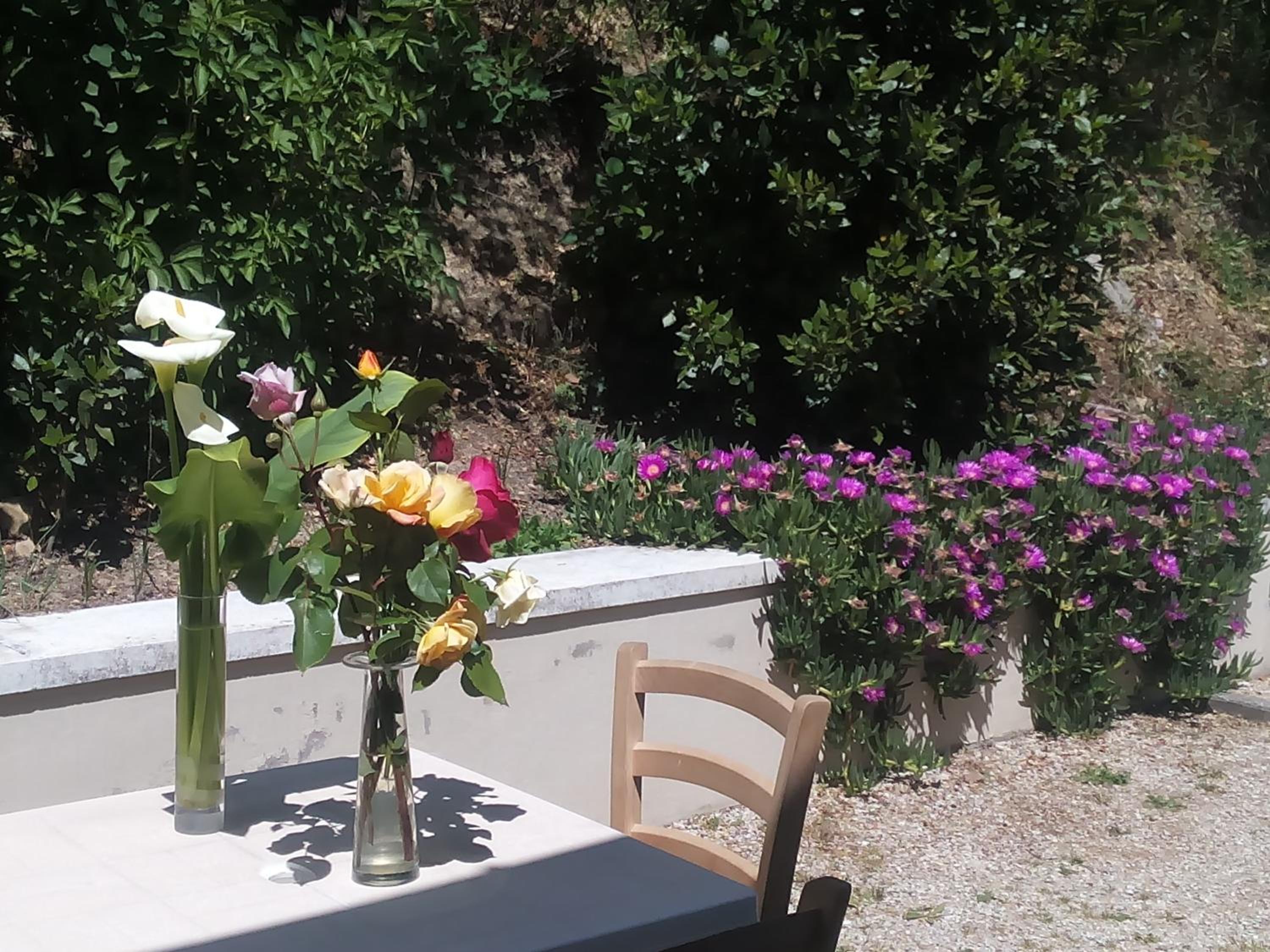 Home Meditamondo