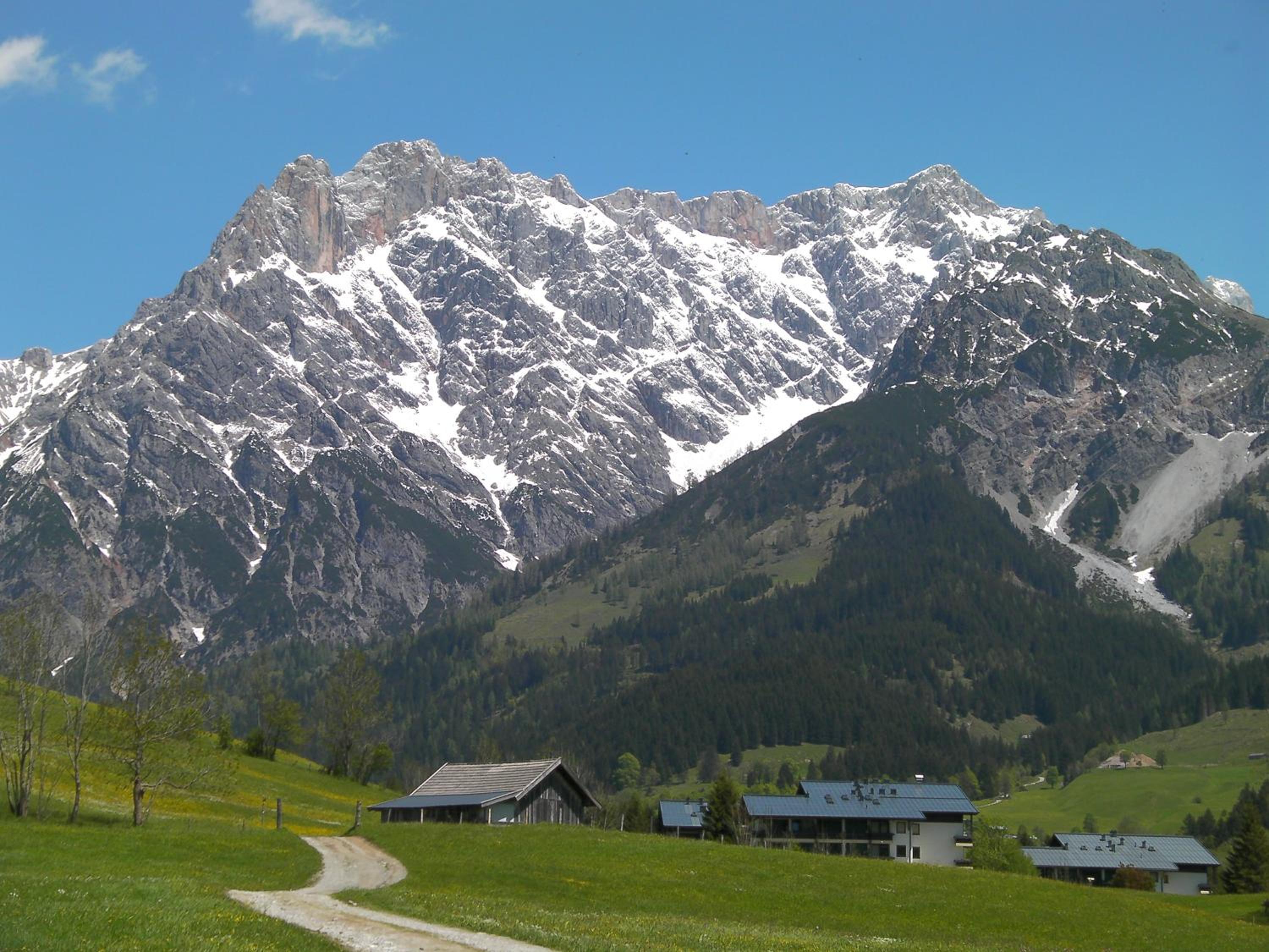 Photo 37