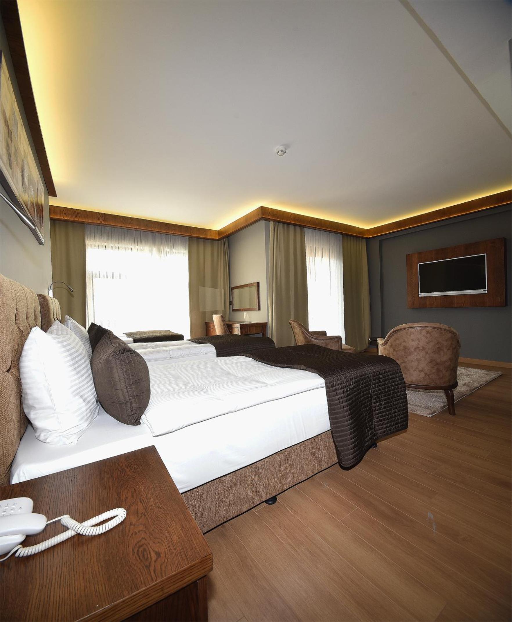 The Elegant Otel - Image 29