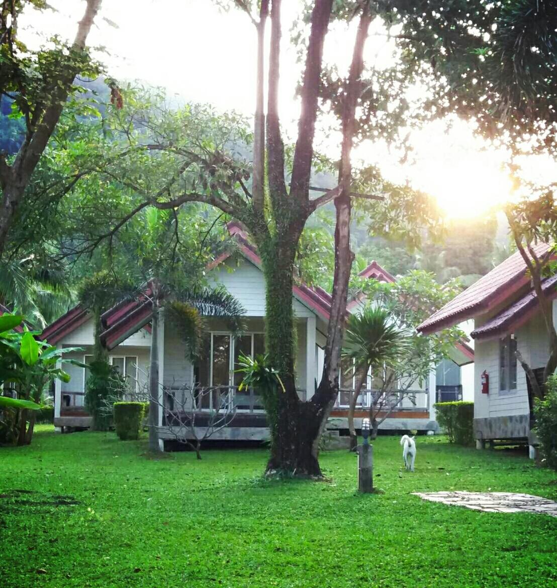 Kohchang Privilege