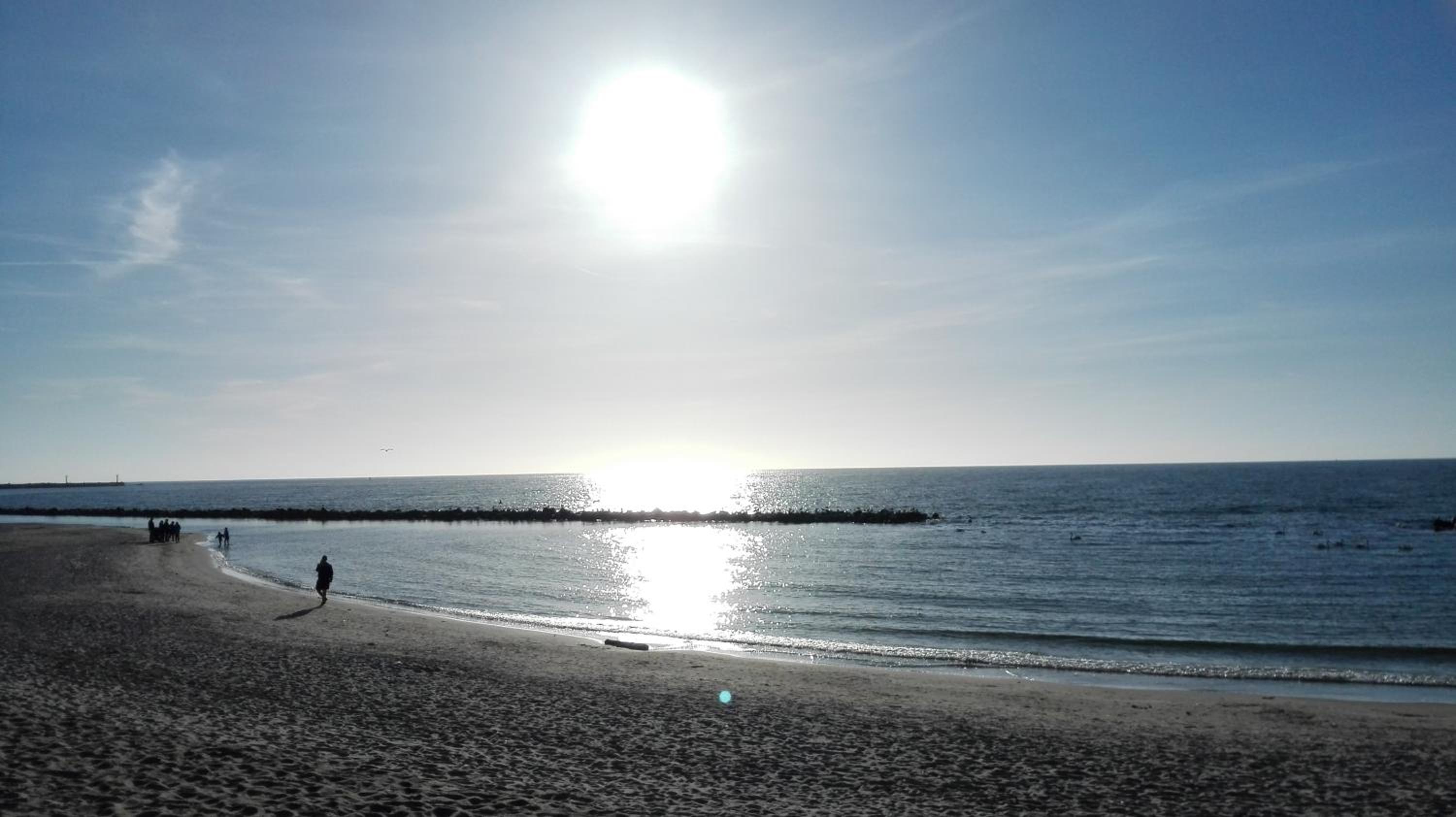 Photo 48
