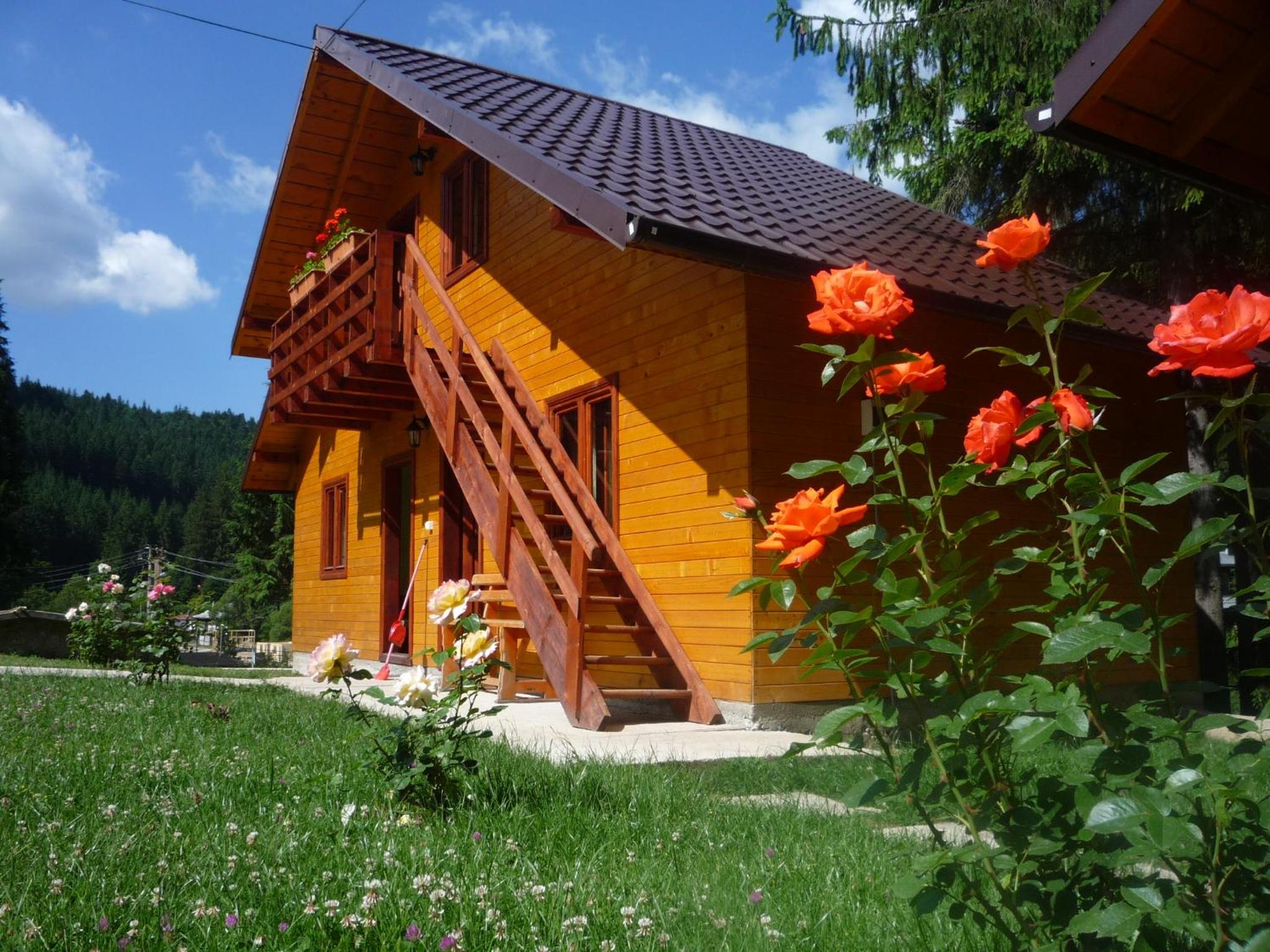 Photo 40
