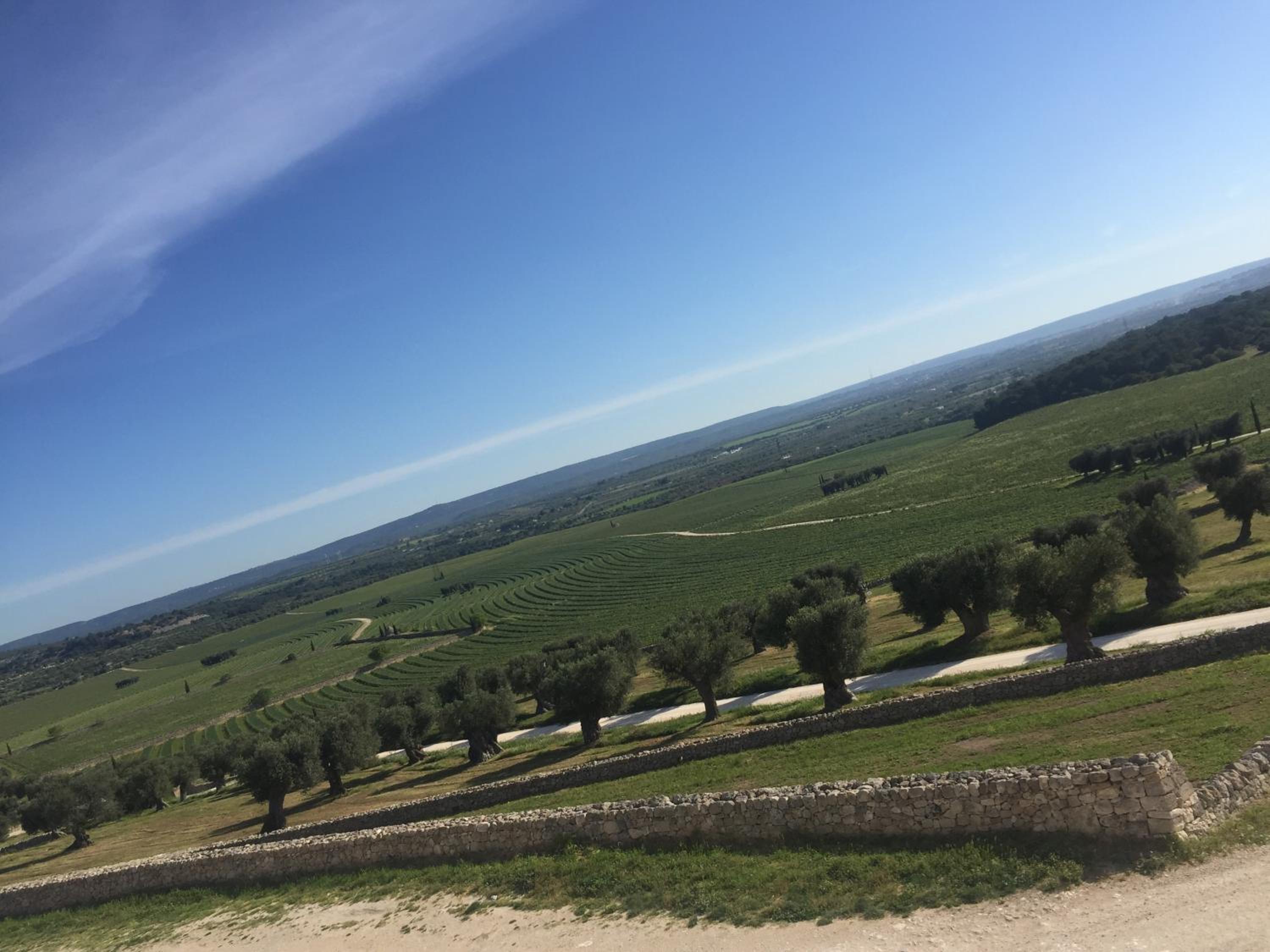 Masseria Amastuola Wine Resort